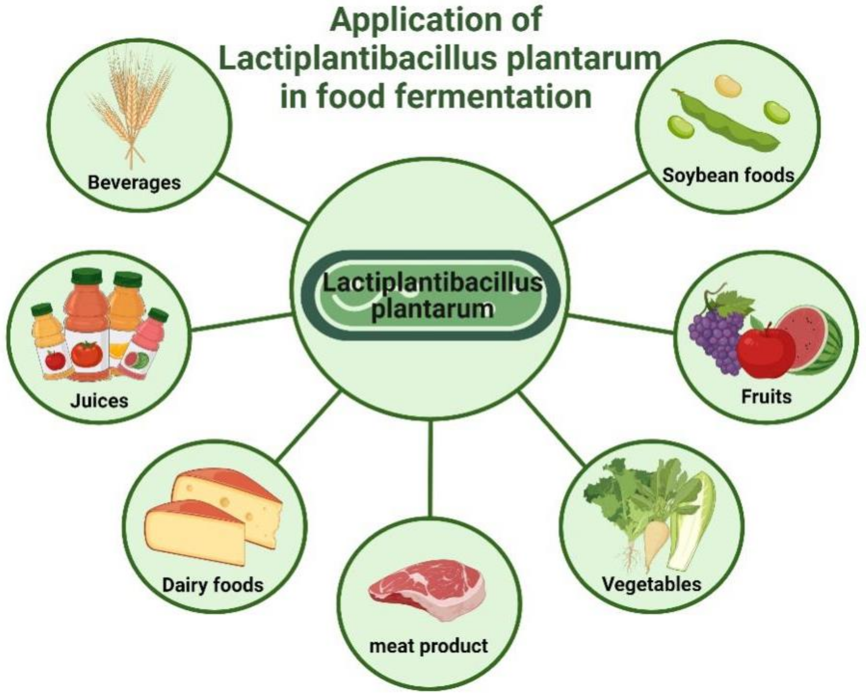 Foods 11 02549 g005 550