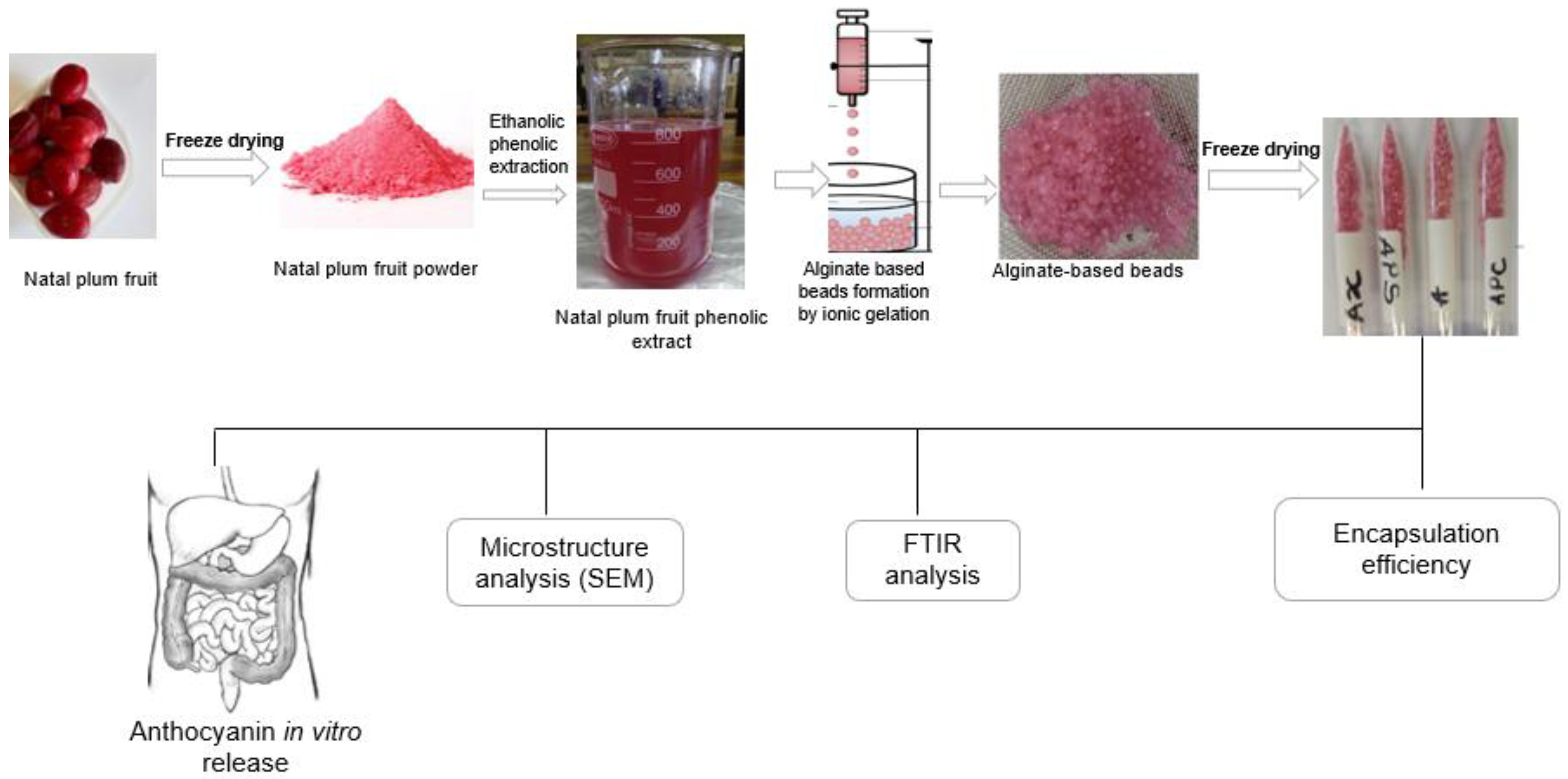 Foods 11 02550 g001 550