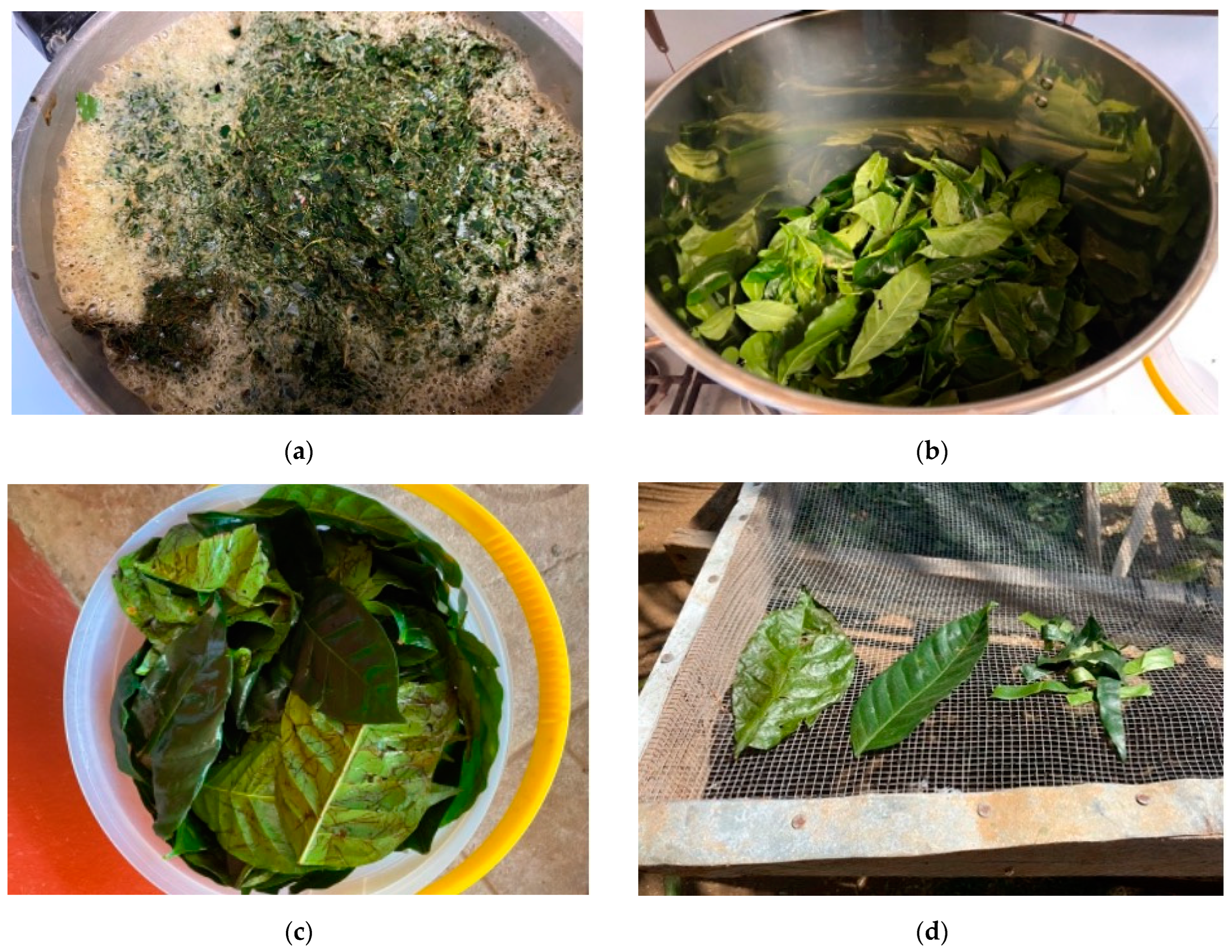 Foods 11 02553 g002 550