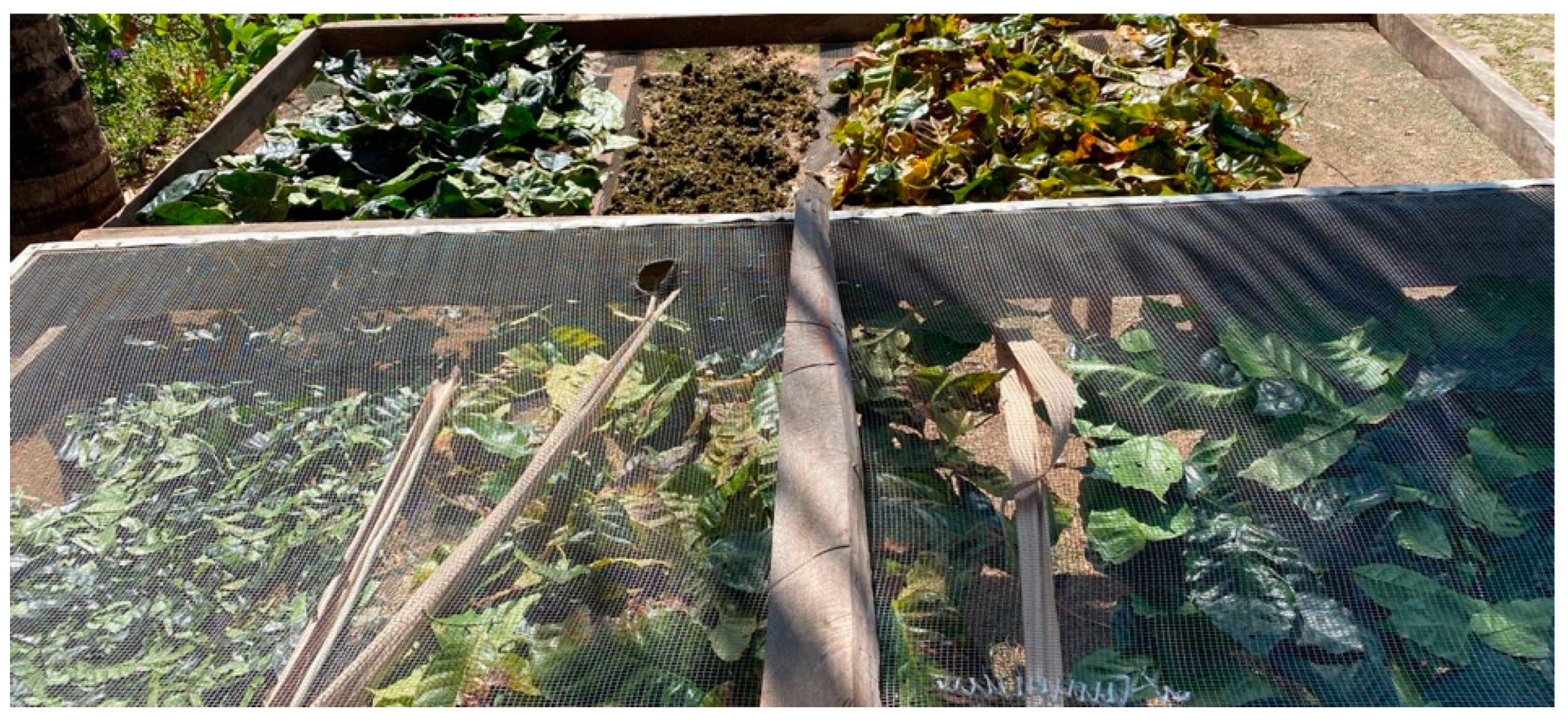 Foods 11 02553 g003 550