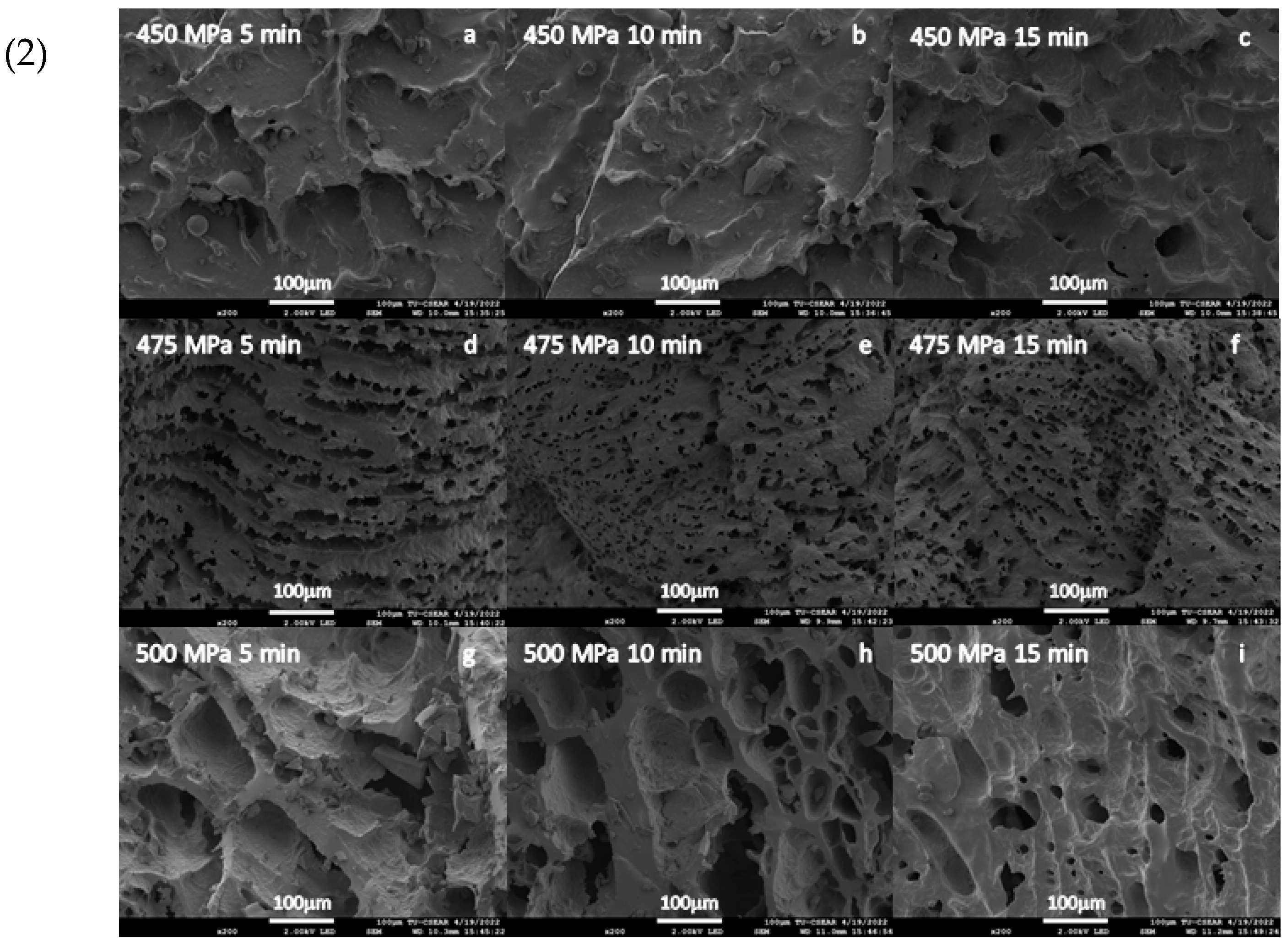 Foods 11 02555 g006b