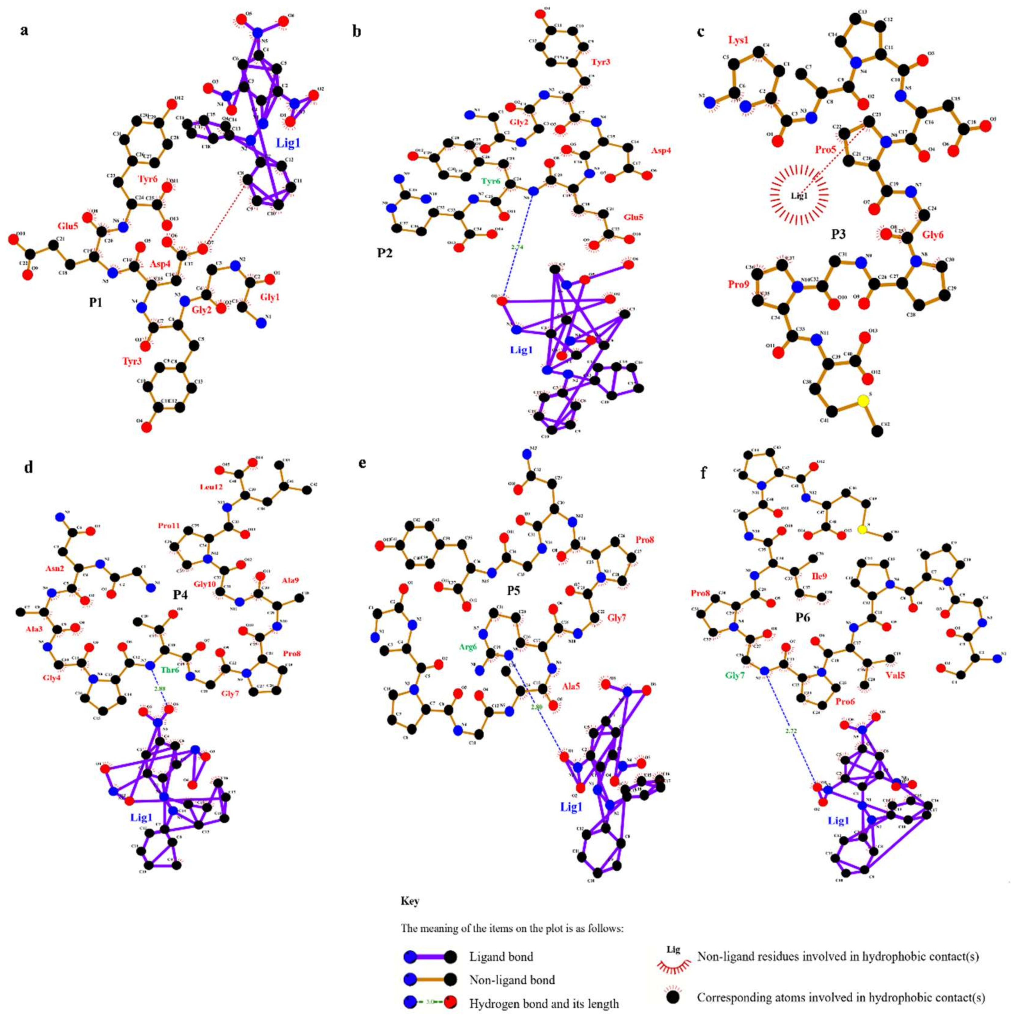 Foods 11 02576 g003 Foods 11 02576 g003