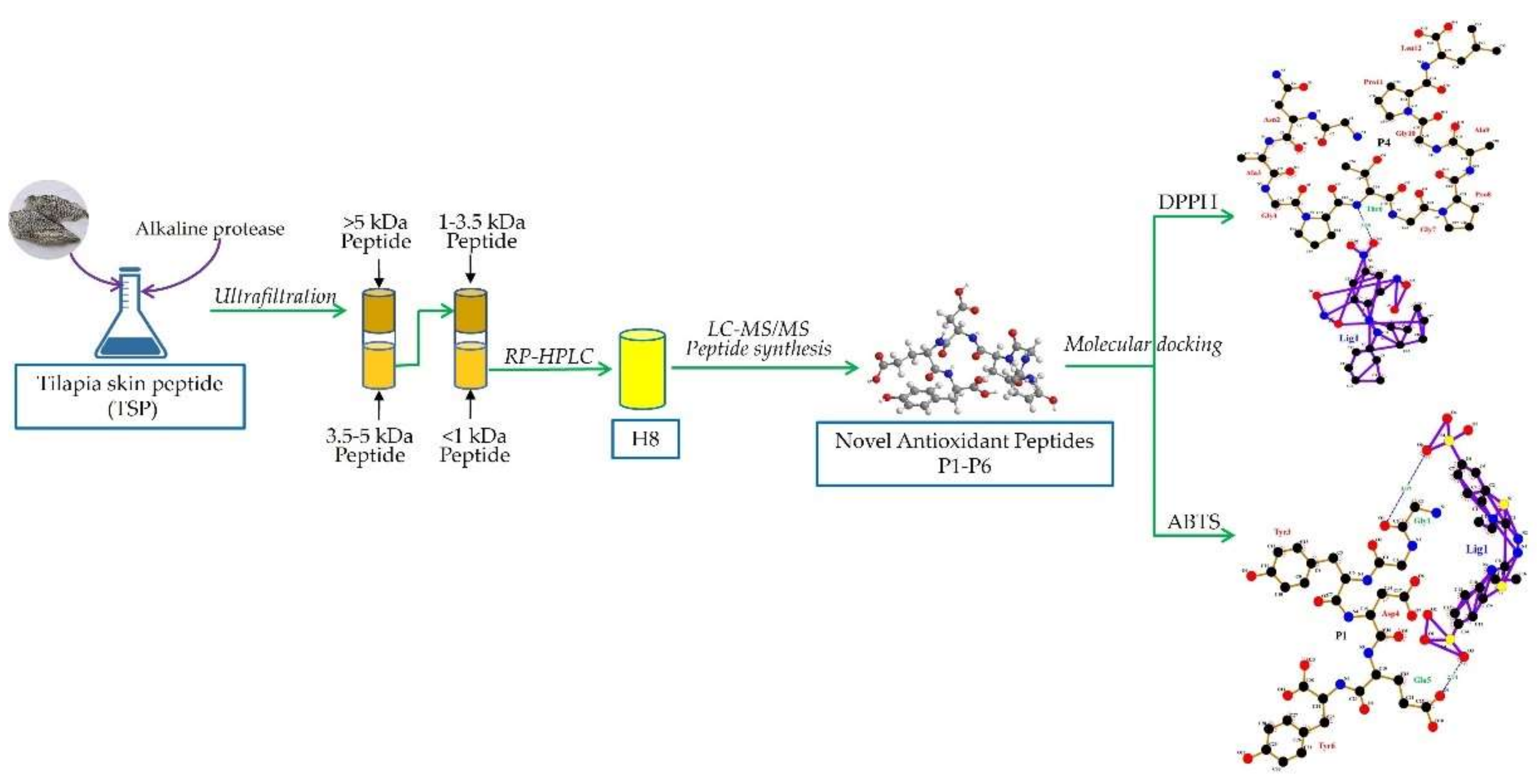 Foods 11 02576 sch001 Foods 11 02576 sch001