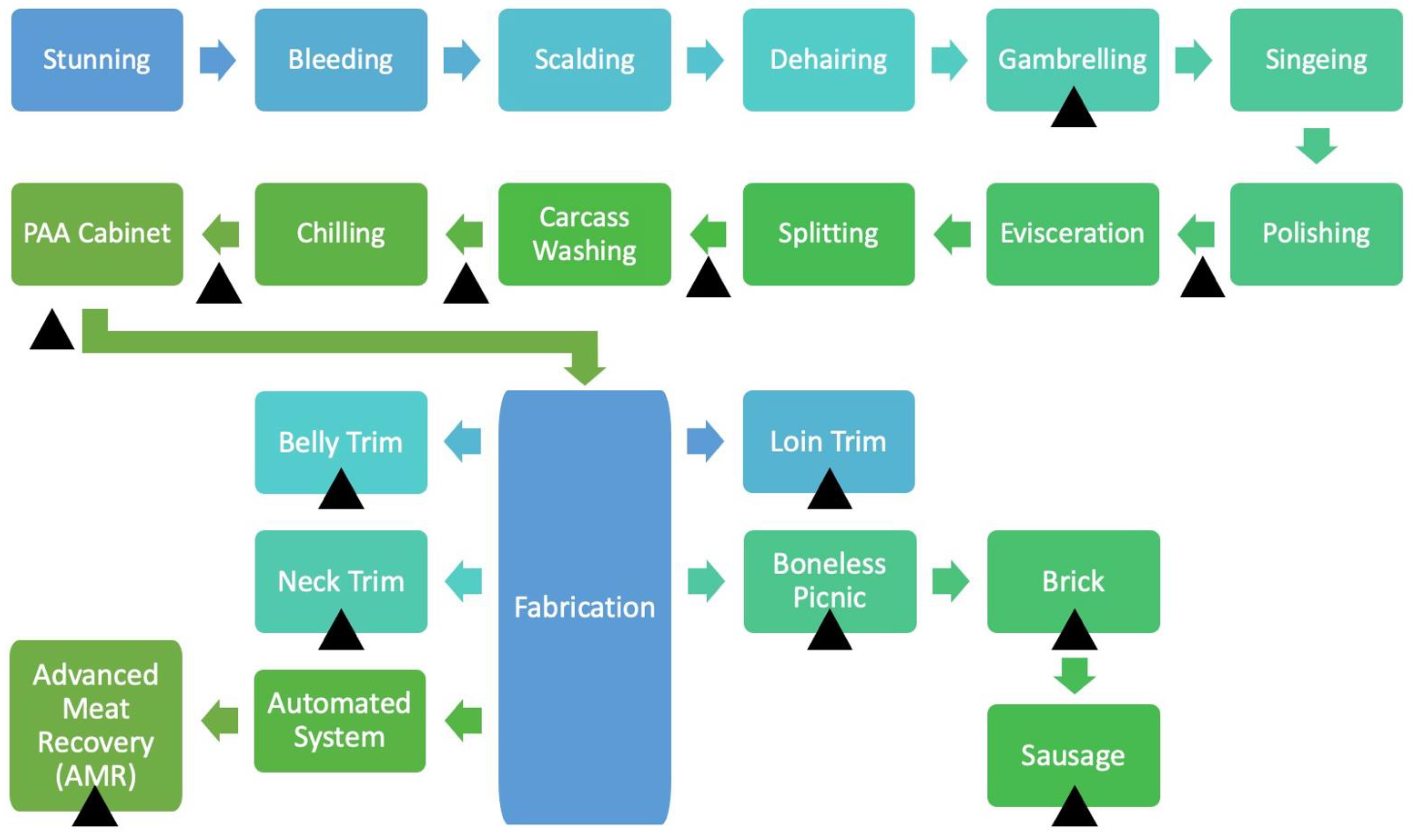 Foods 11 02580 g001 Foods 11 02580 g001