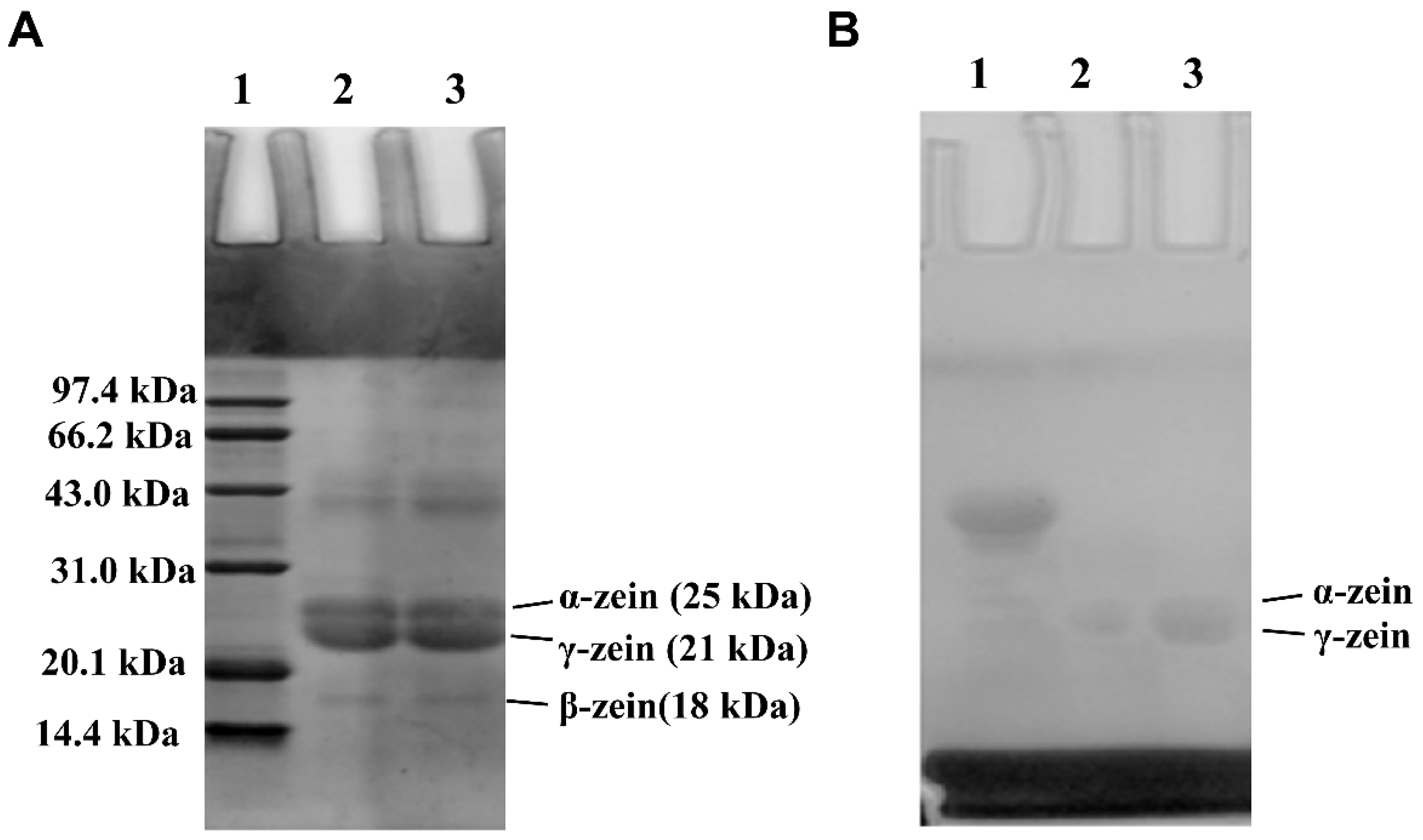 Foods 11 02589 g003 550