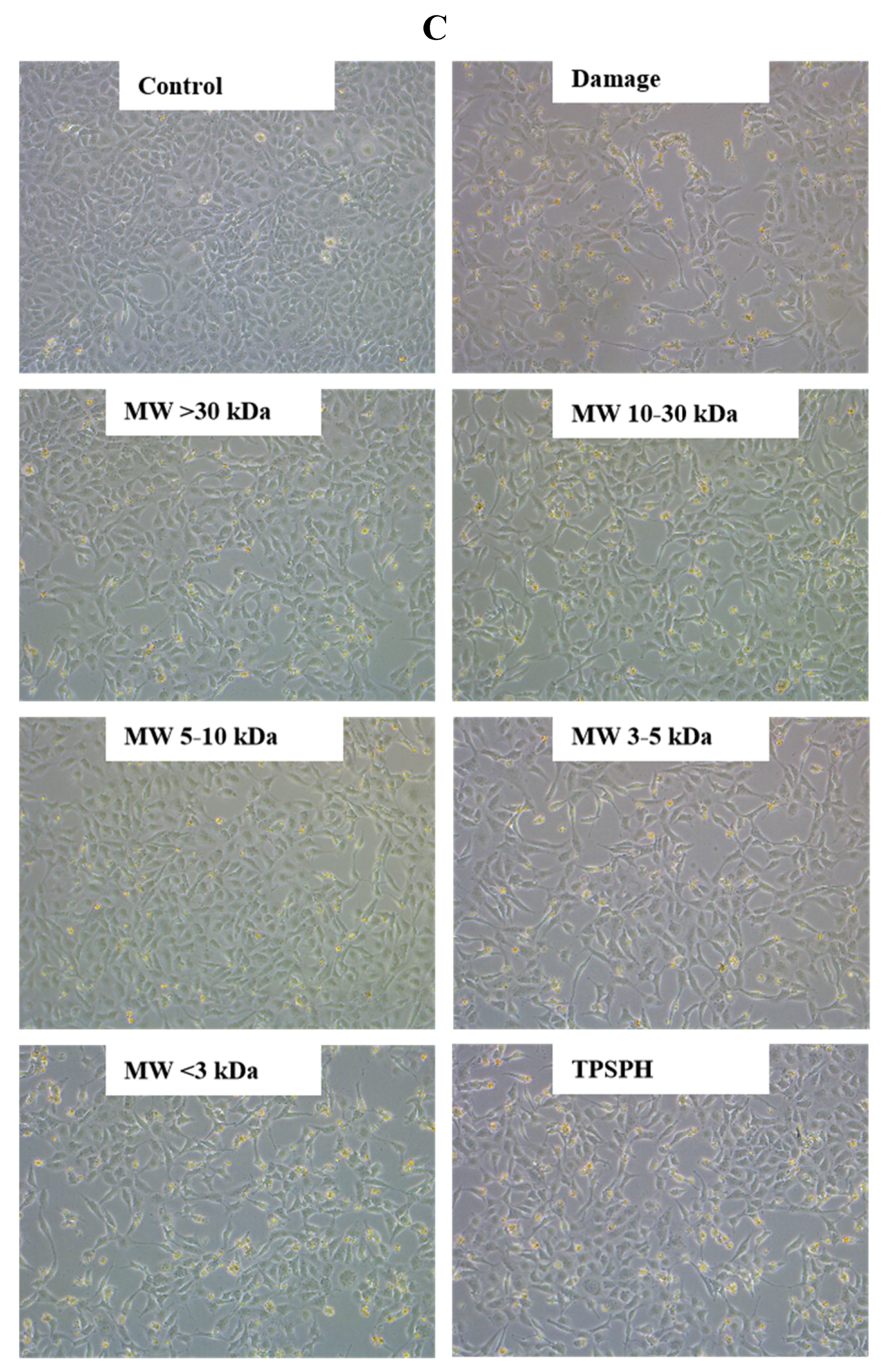 Foods 11 02592 g006c 550