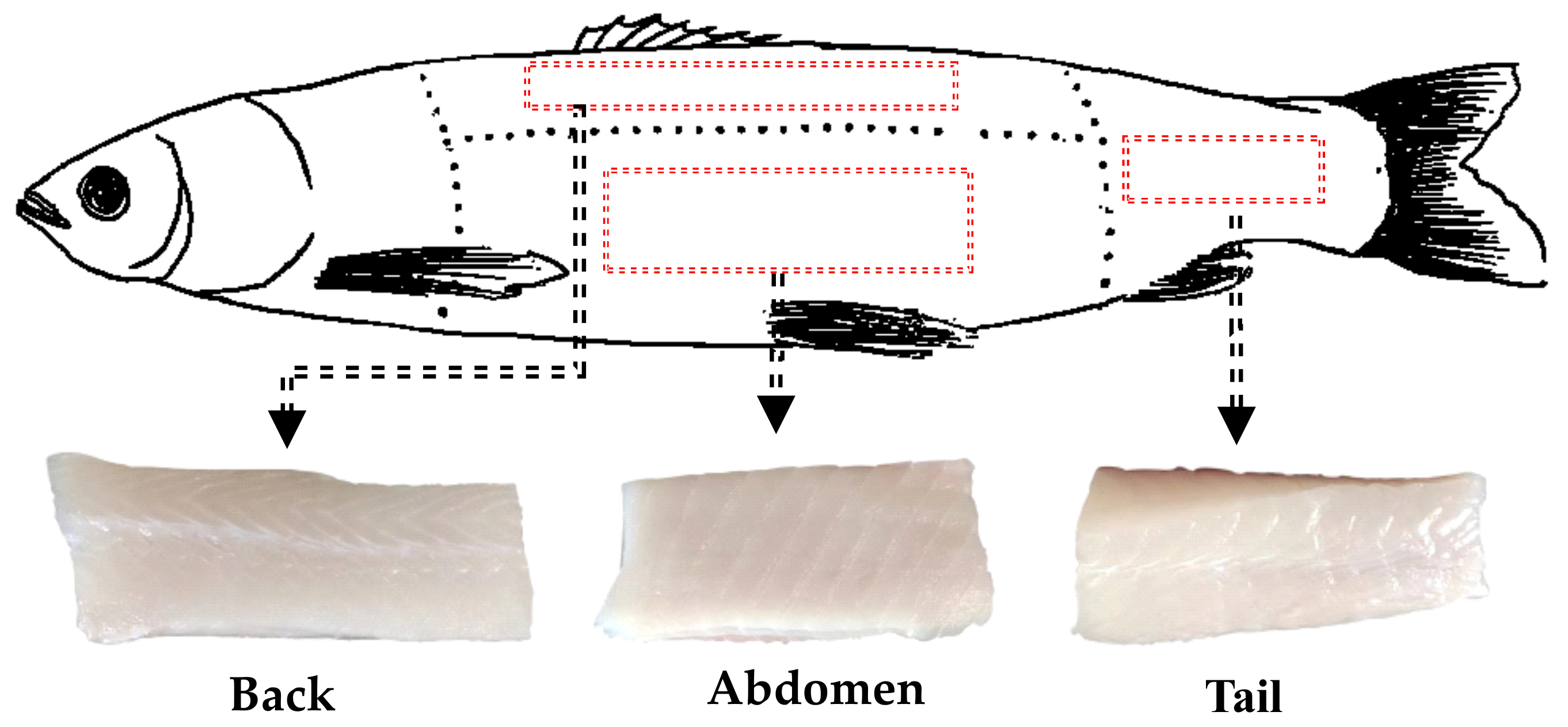 Foods 11 02594 g002 550