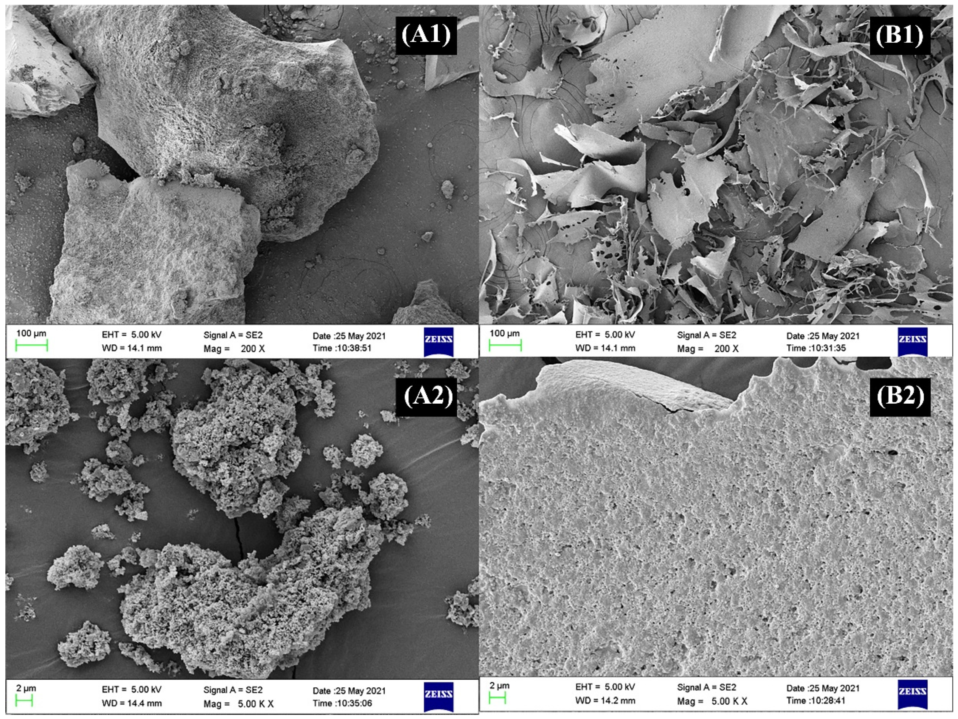 Foods 11 02610 g003 550