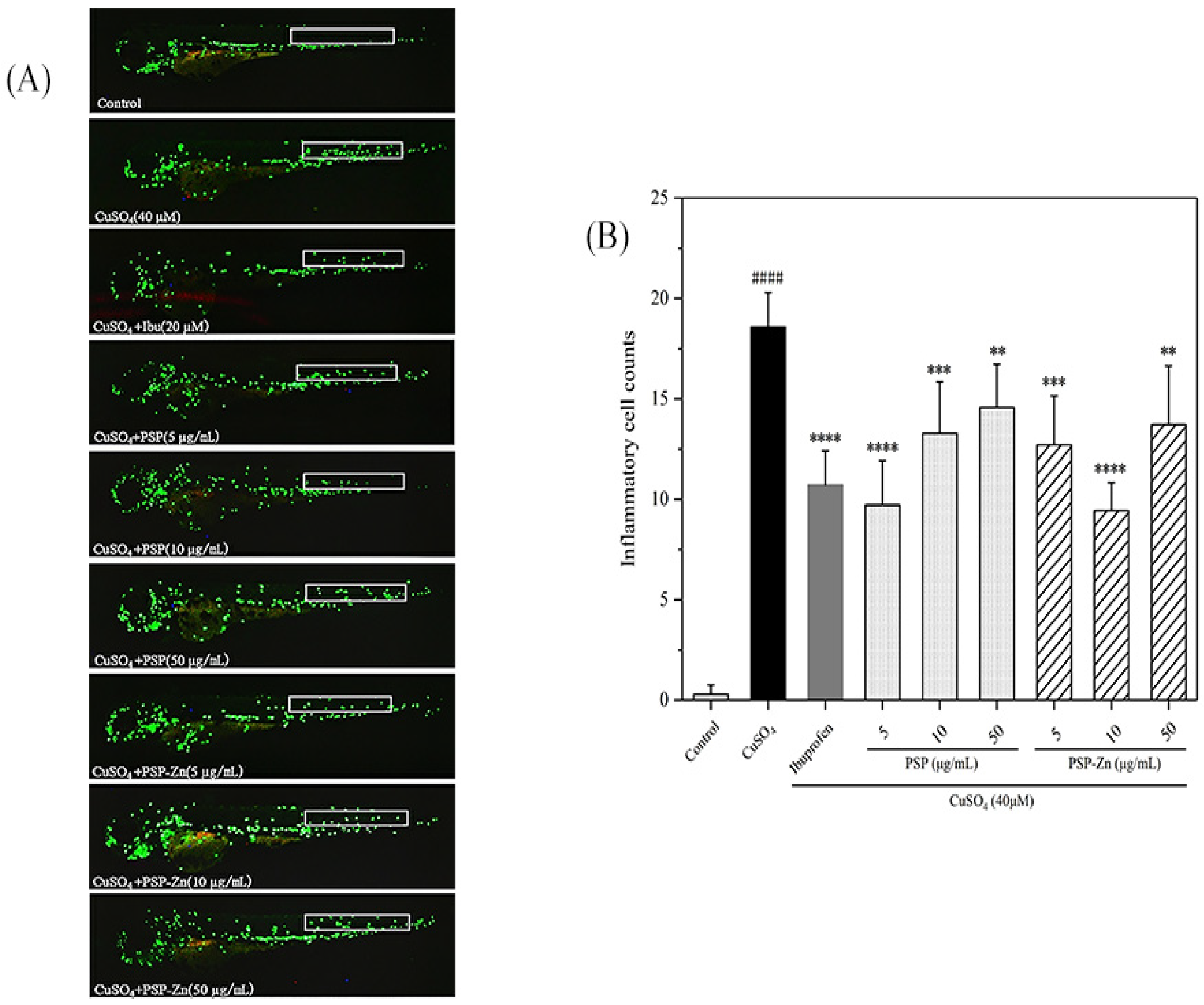 Foods 11 02610 g006 550