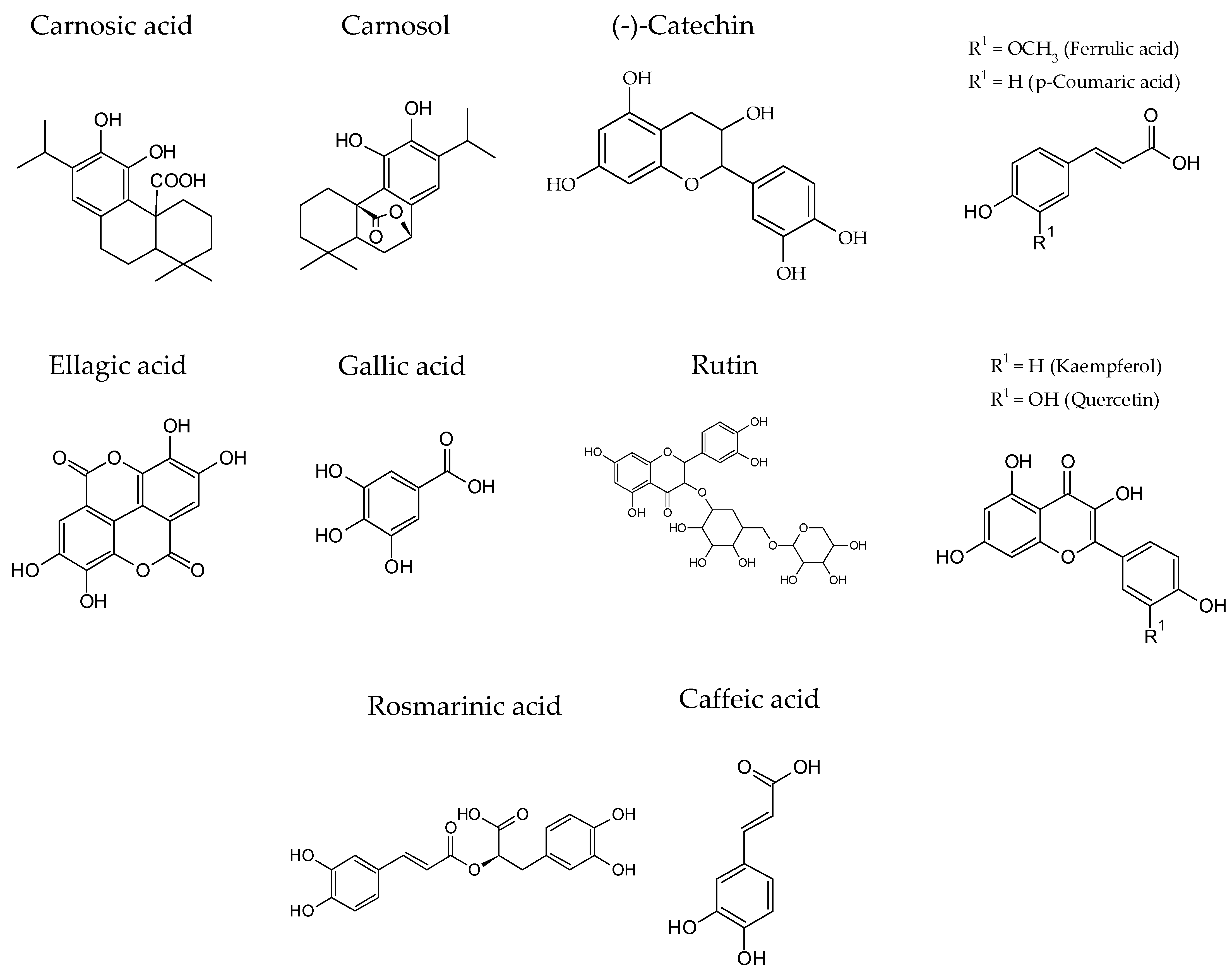 Foods 11 02613 g002 550