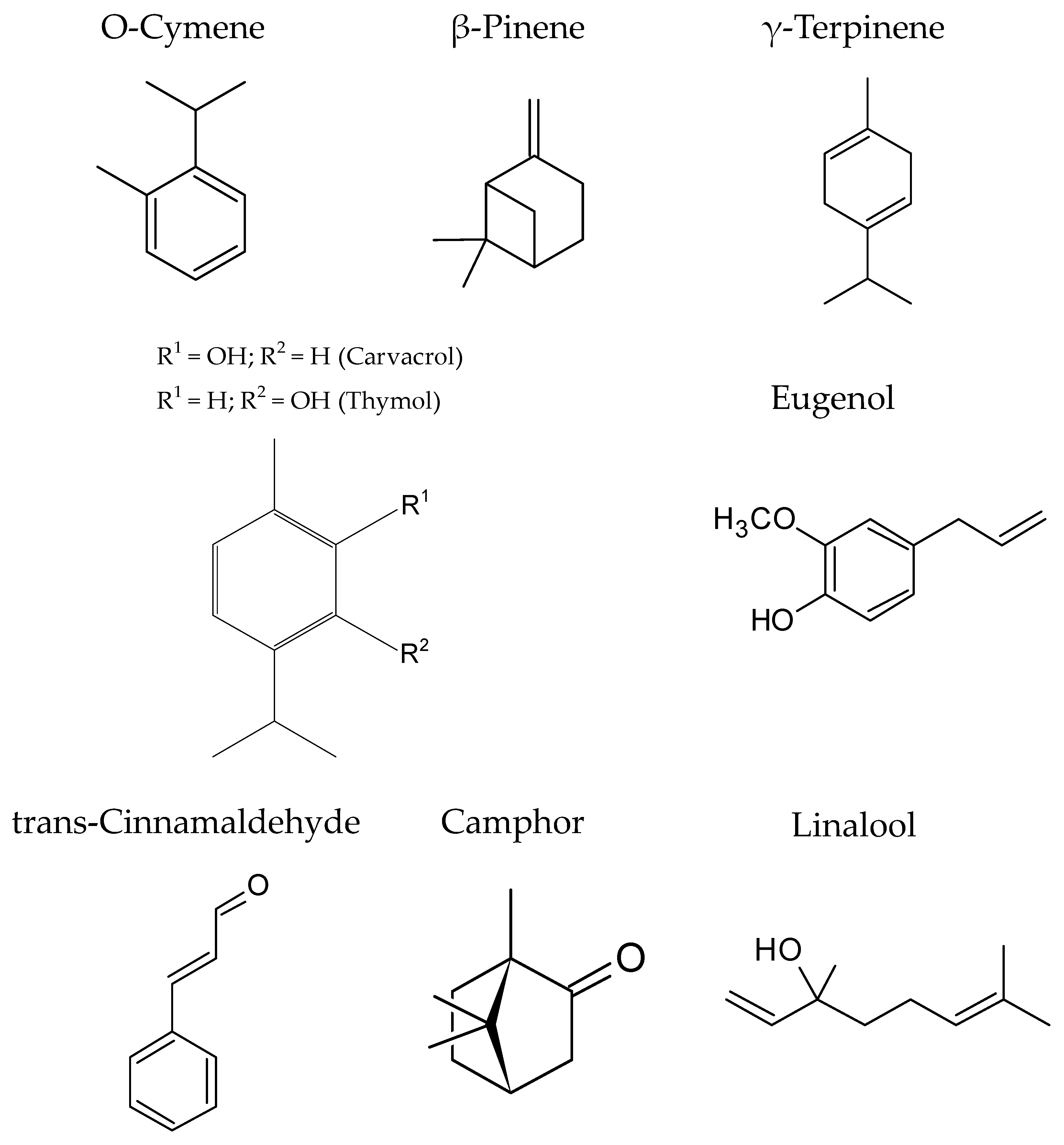 Foods 11 02613 g004 550
