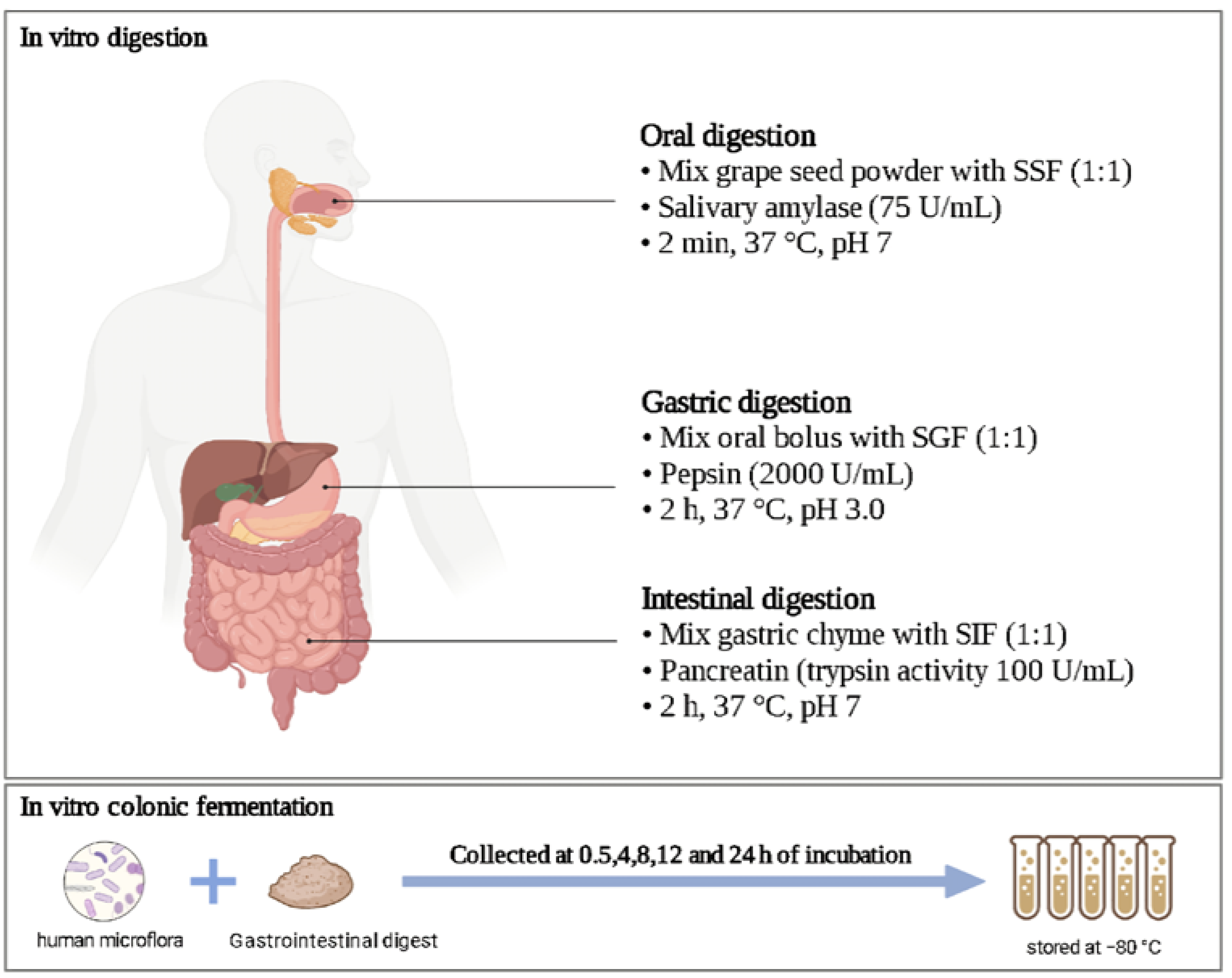 Foods 11 02615 g001 Foods 11 02615 g001