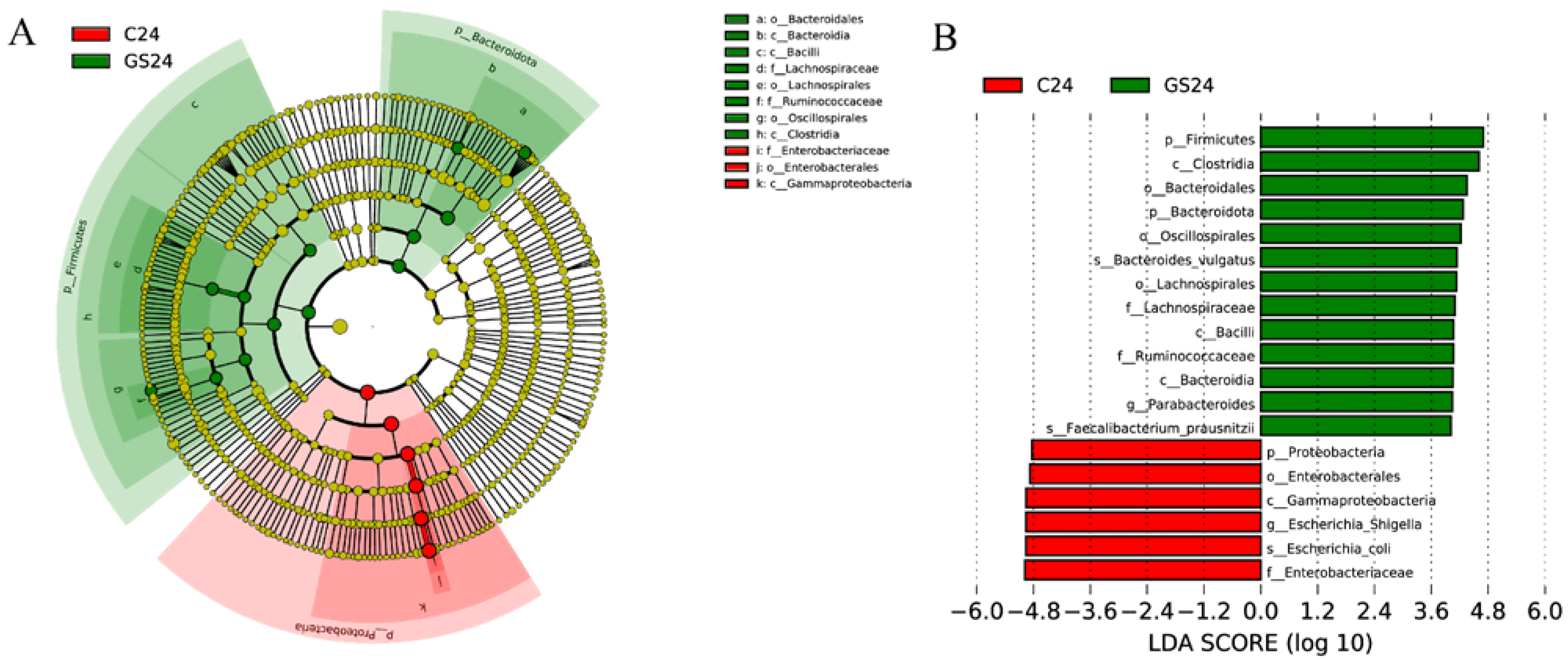 Foods 11 02615 g005 Foods 11 02615 g005