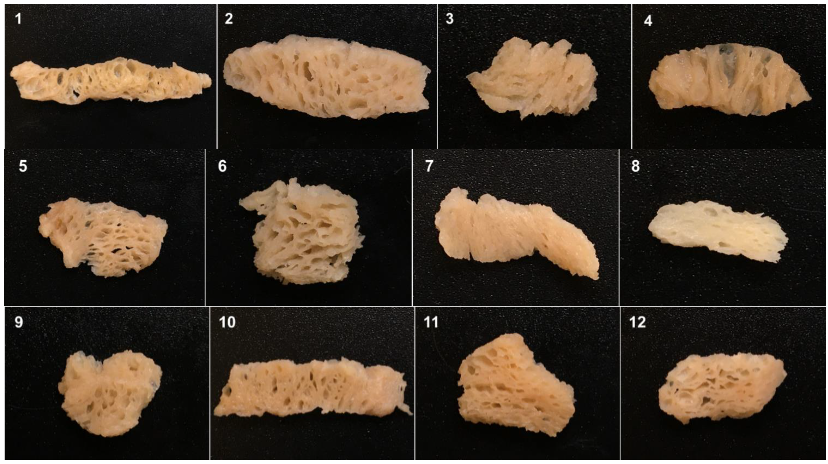 Foods 11 02619 g002a Foods 11 02619 g002a