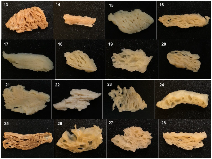 Foods 11 02619 g002b Foods 11 02619 g002b