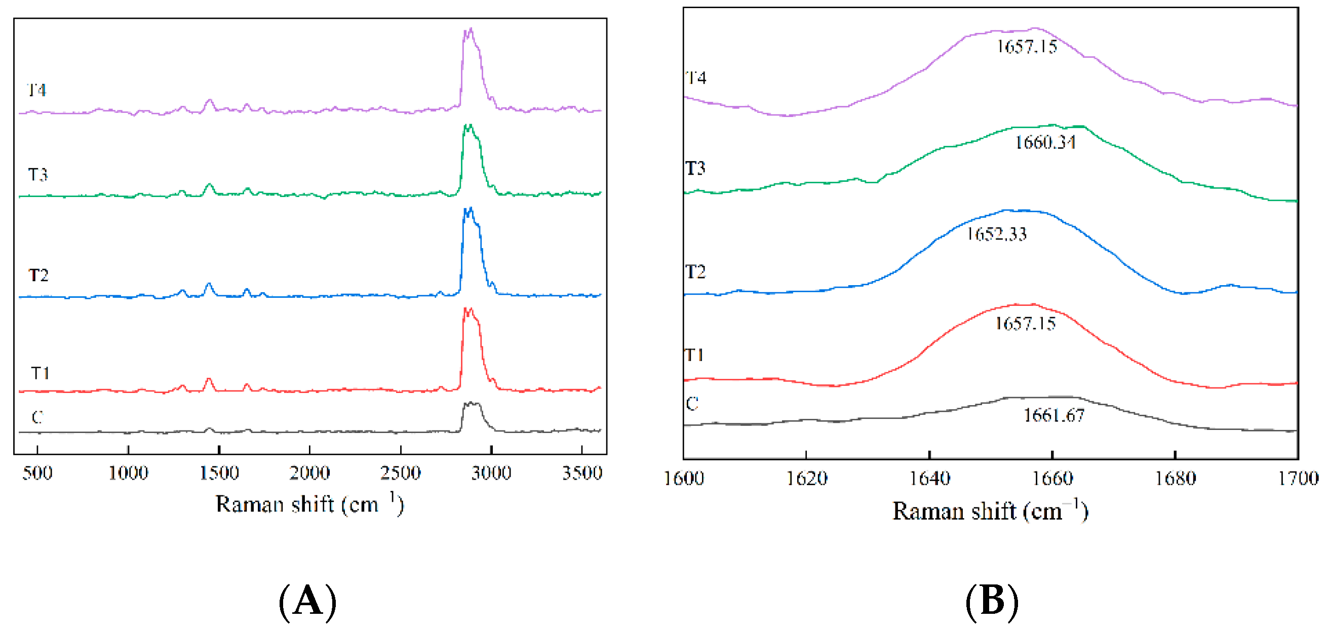 Foods 11 02623 g005 550