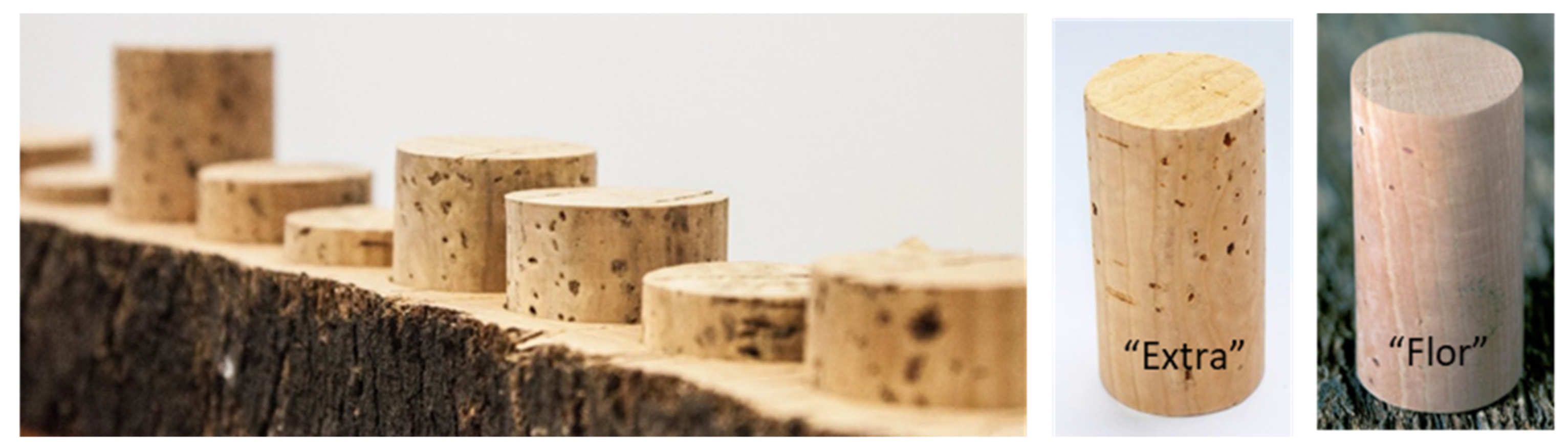 Foods 11 02638 g003 Foods 11 02638 g003