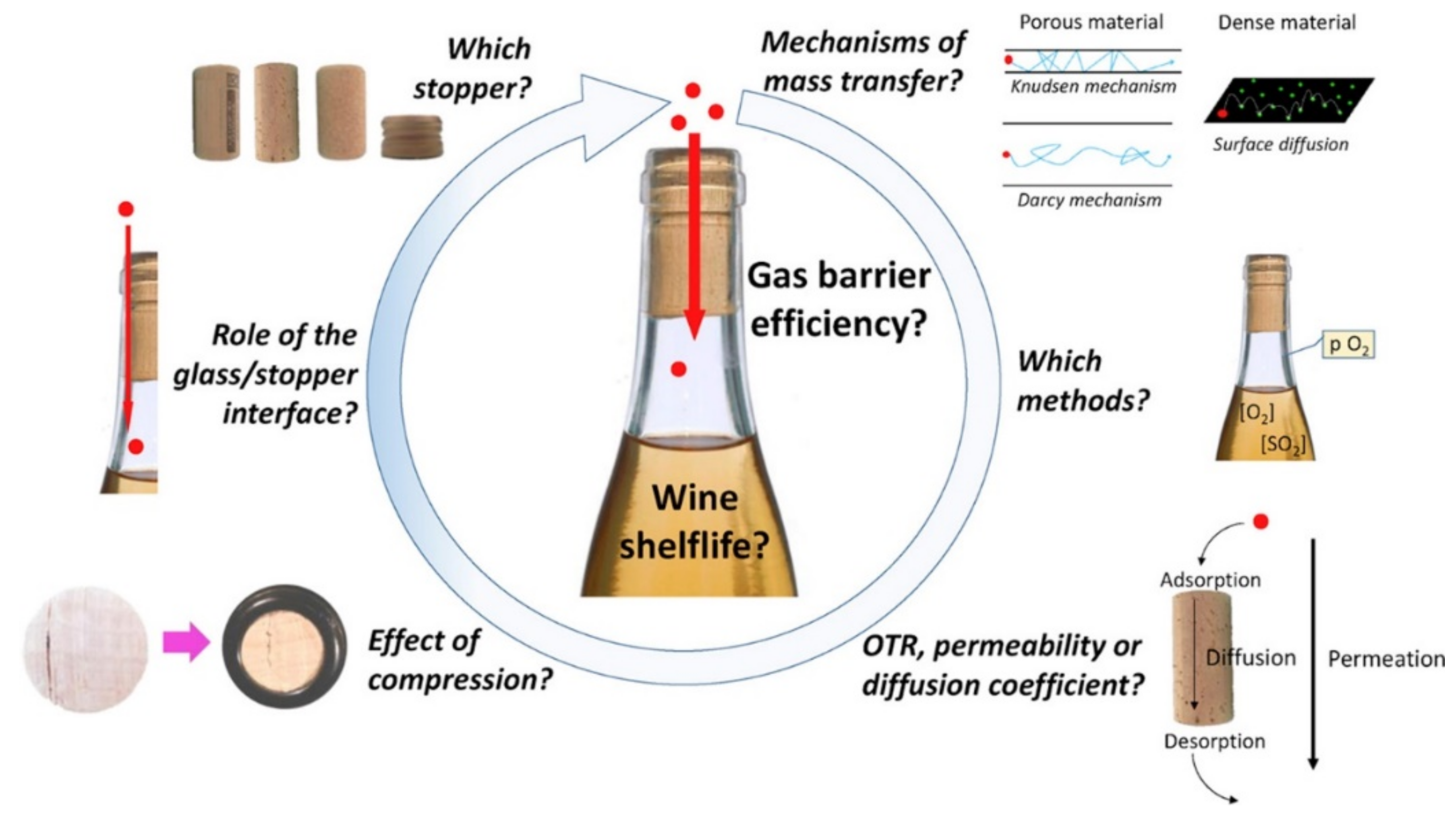 Foods 11 02638 g004 Foods 11 02638 g004