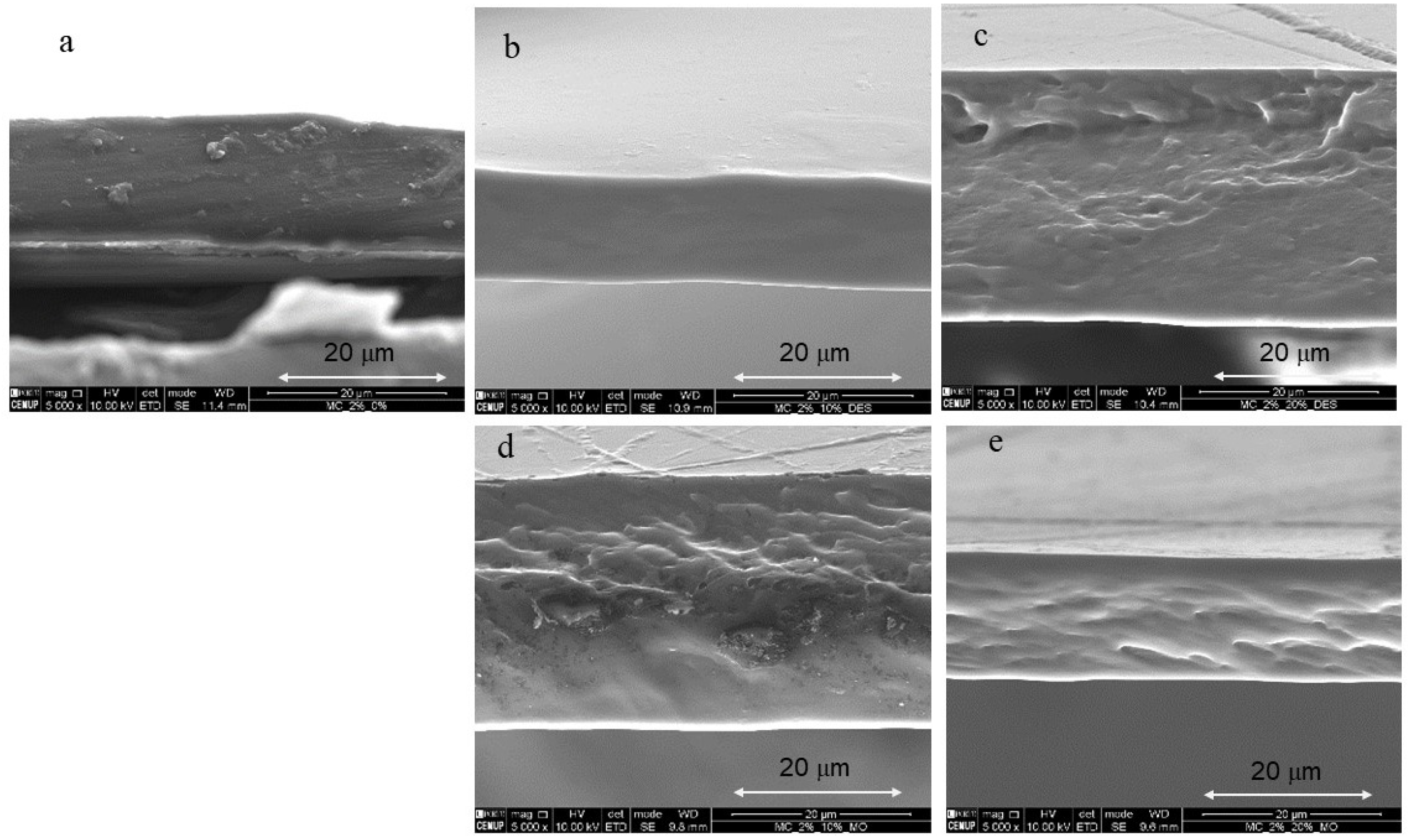 Foods 11 02641 g003 550