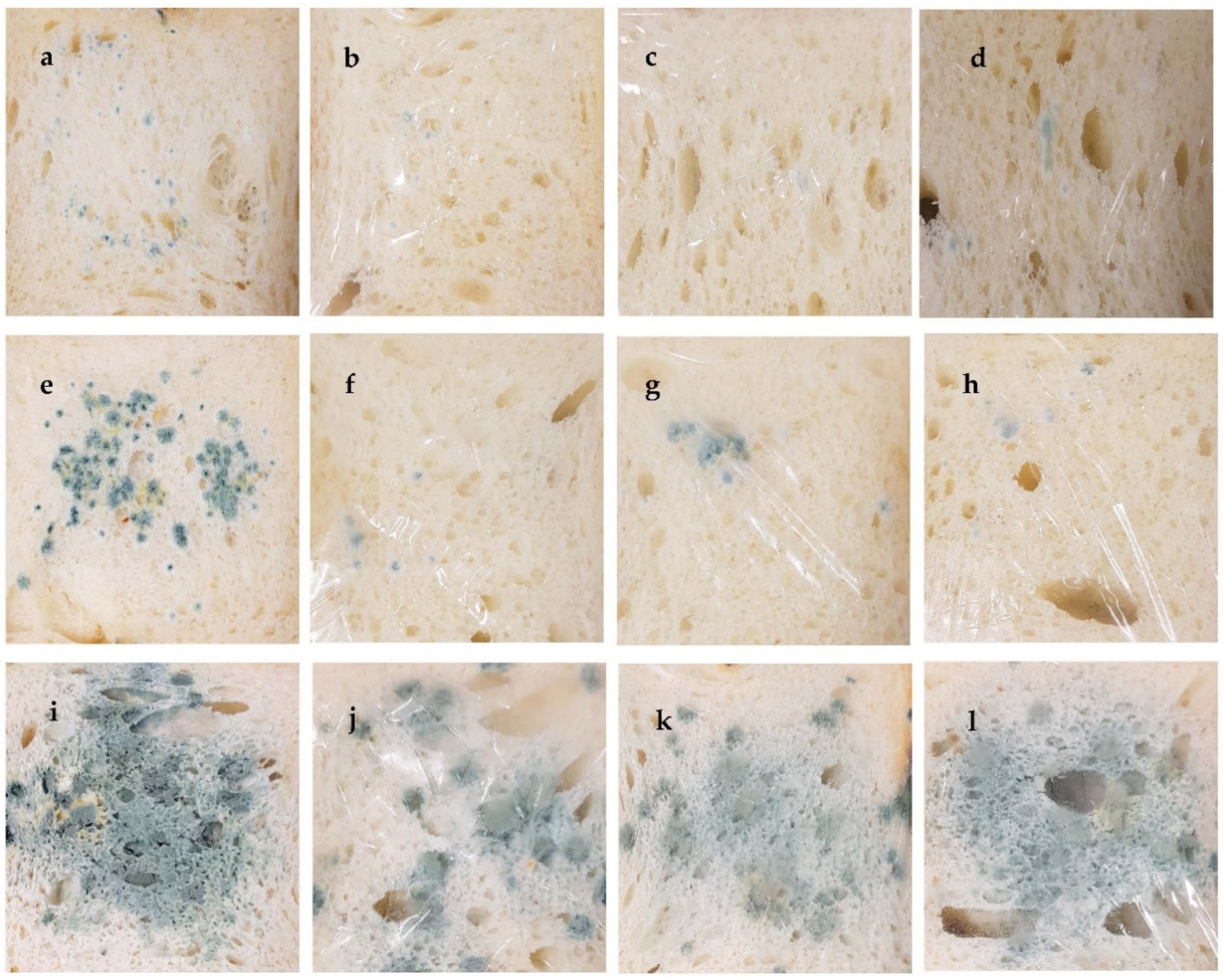 Foods 11 02641 g004 550