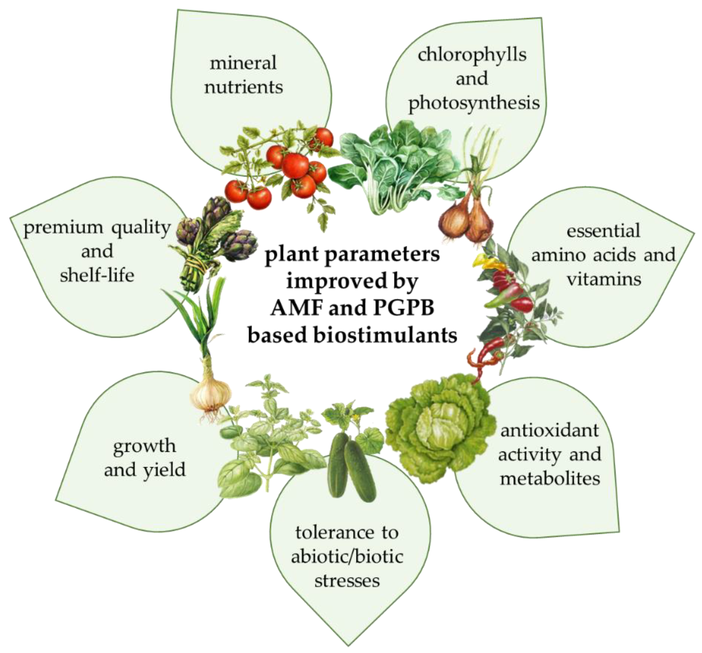 Foods 11 02656 g002 550