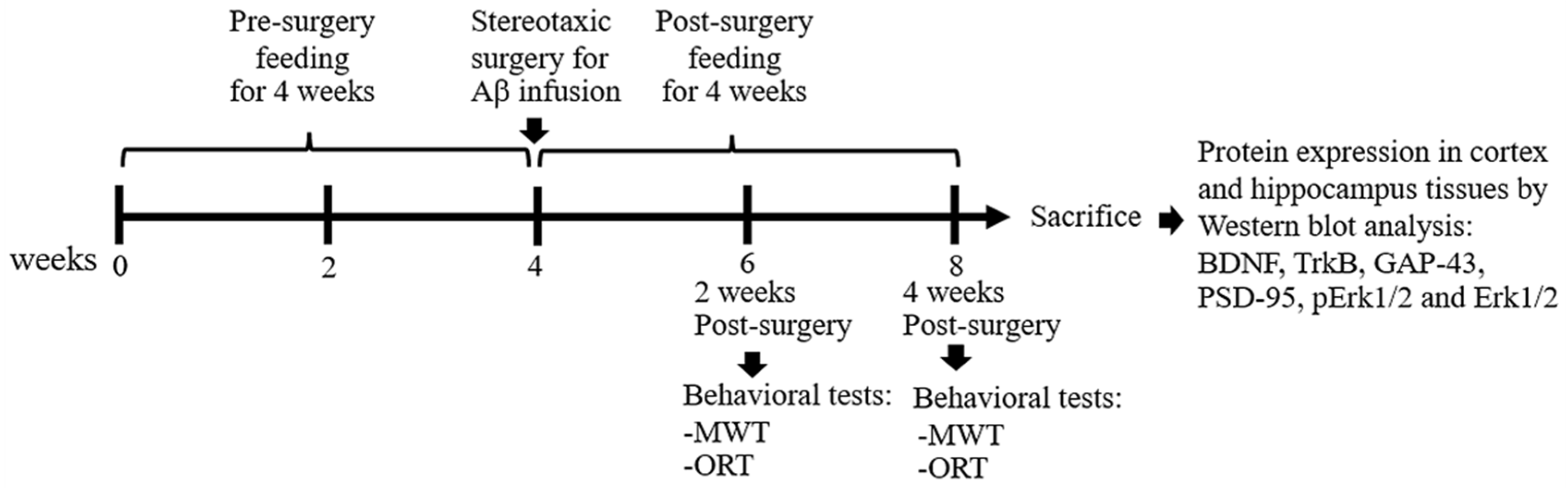 Foods 11 02673 g001 550