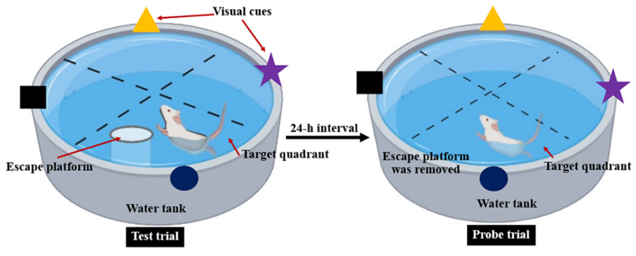 Foods 11 02673 g002 550