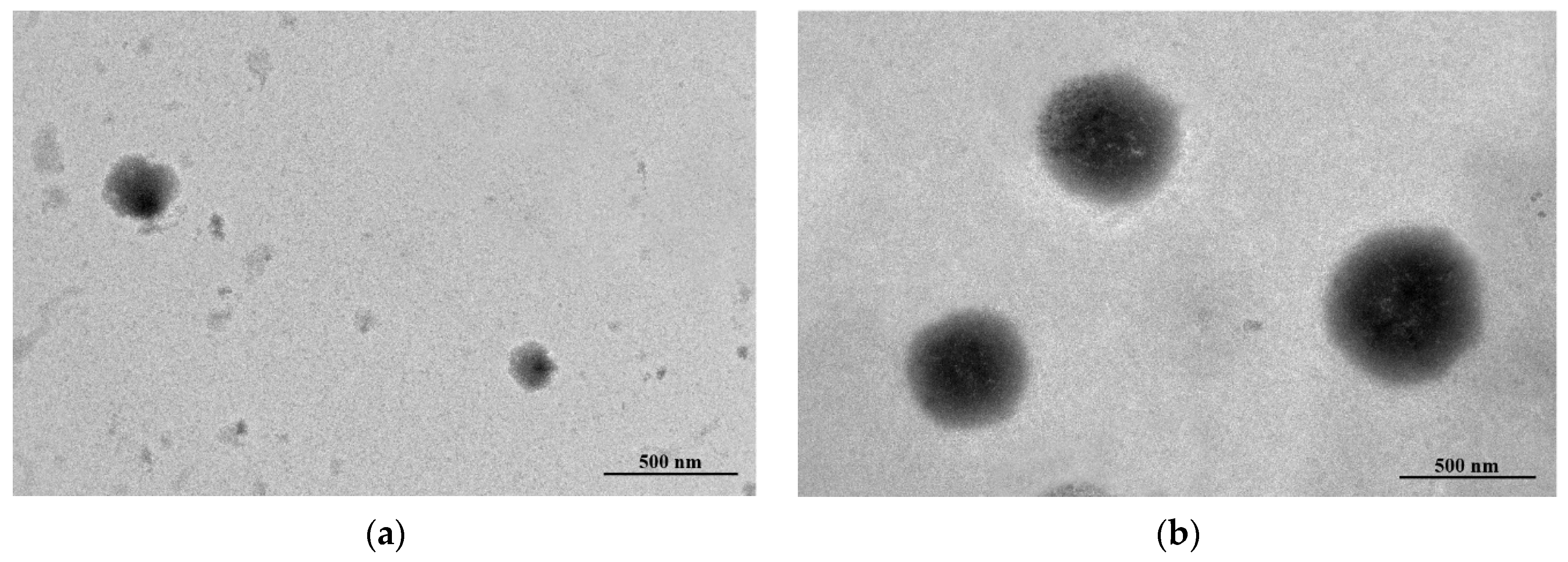 Foods 11 02673 g005 550