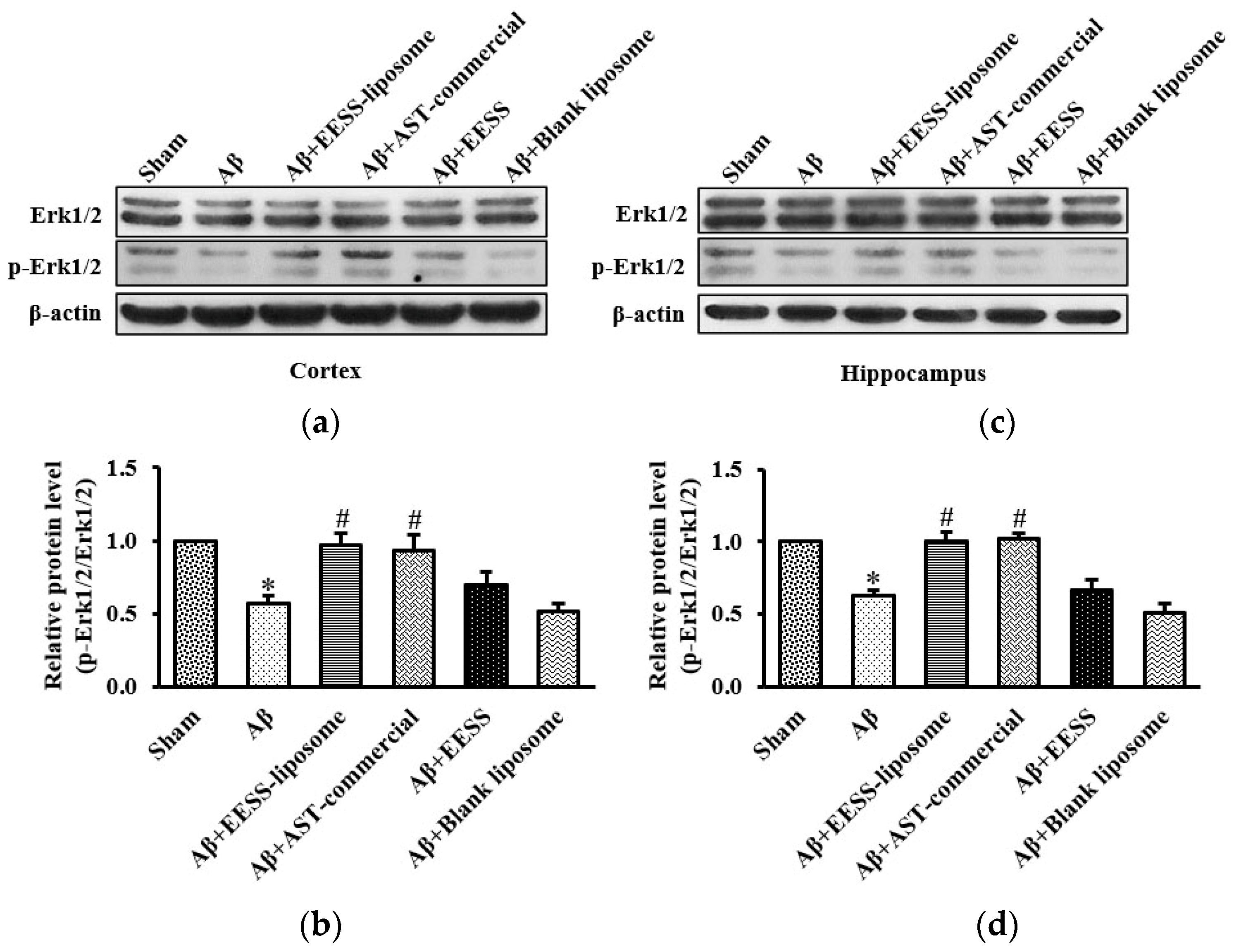 Foods 11 02673 g010 550