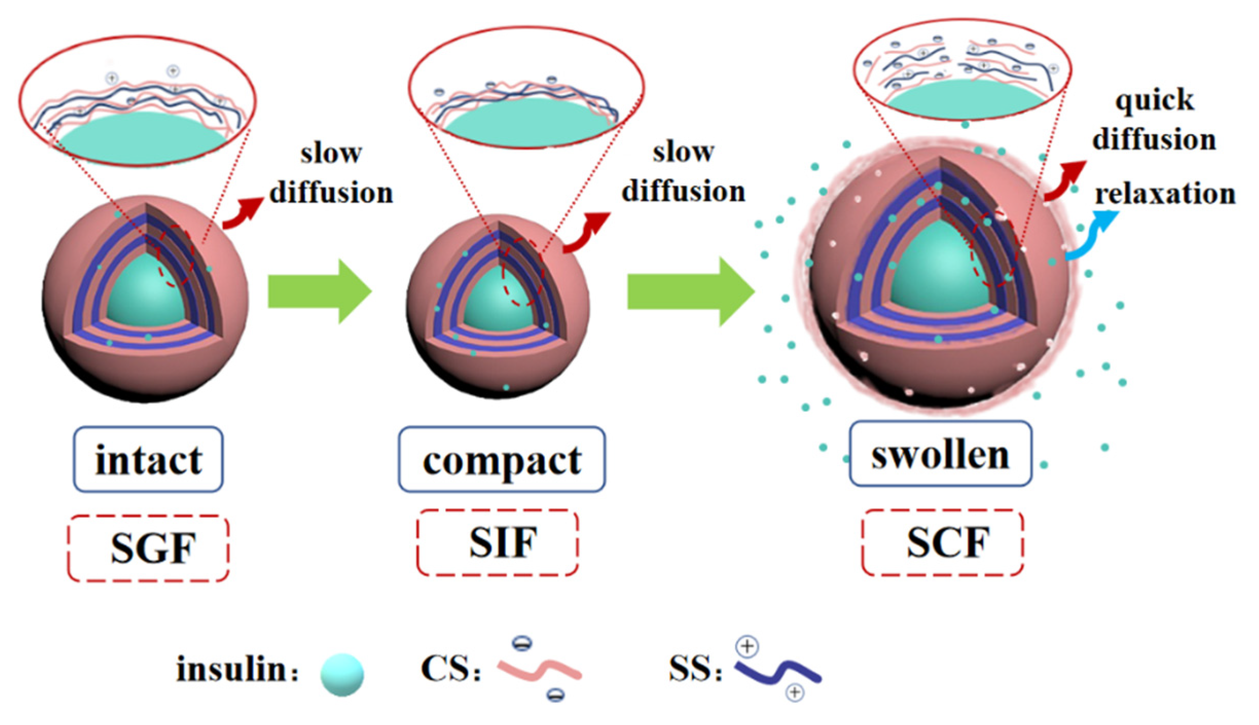 Foods 11 02681 g006 550