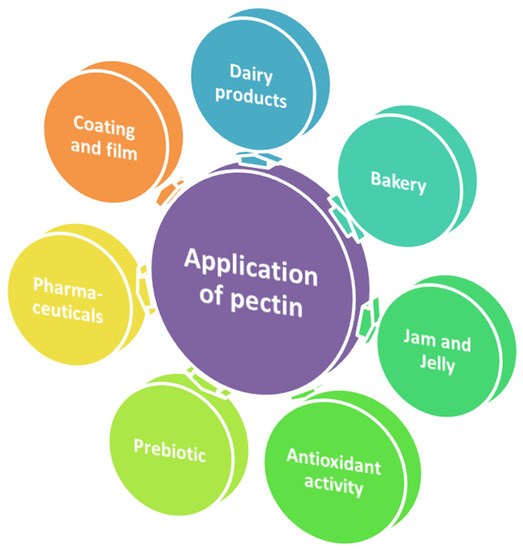 Foods Free FullText Current Advancements in Pectin Extraction