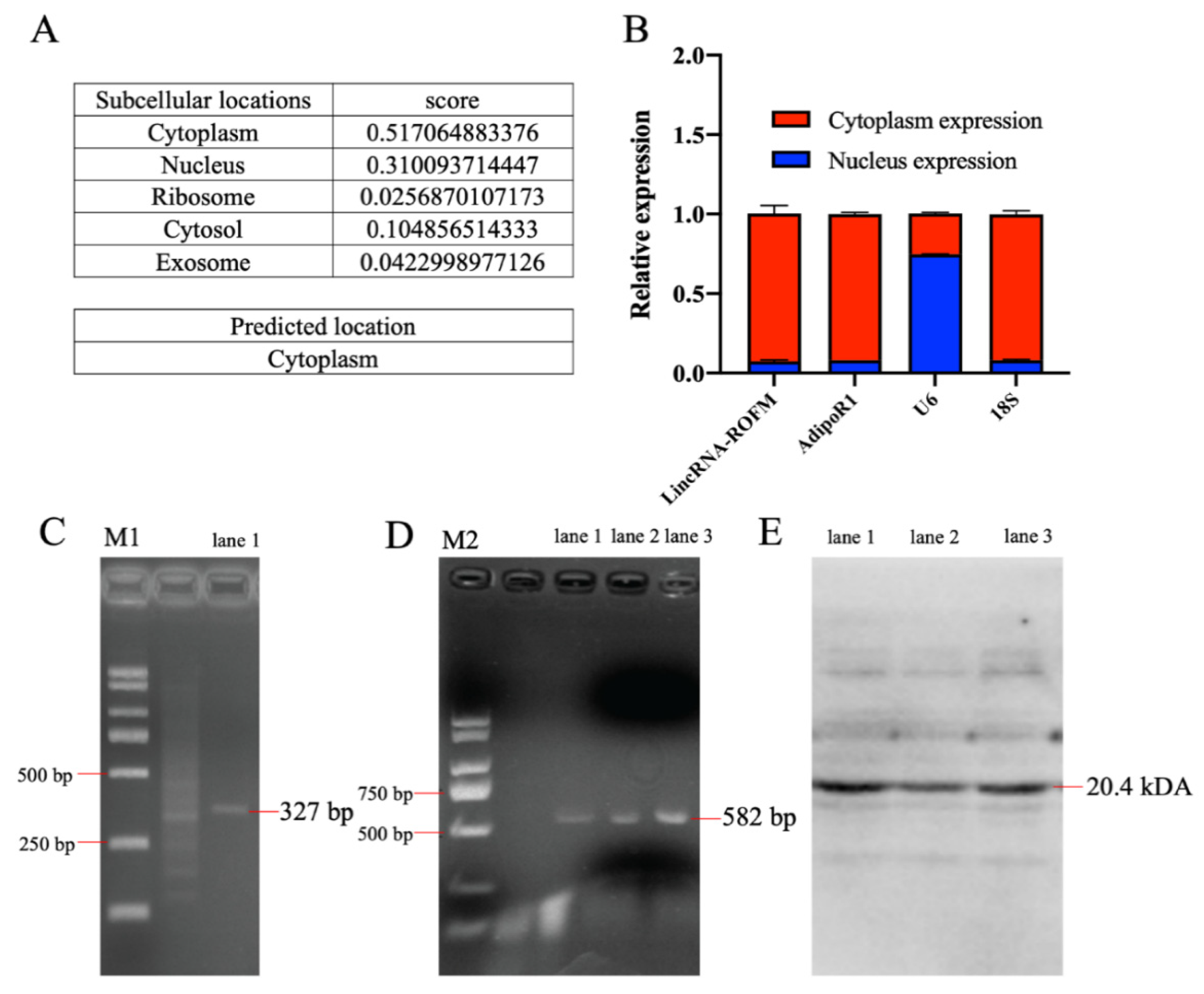 Foods 11 02690 g004 550