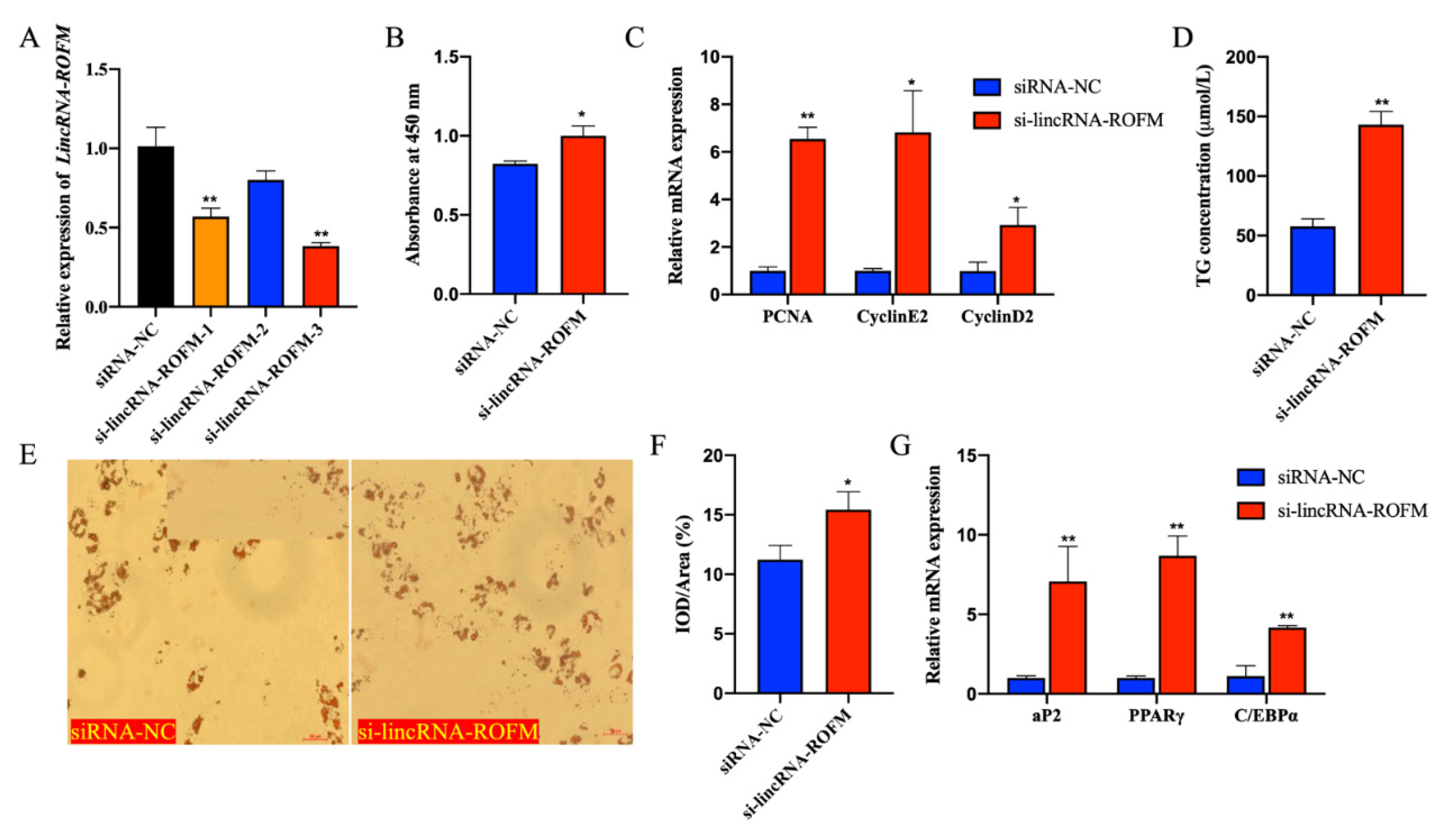 Foods 11 02690 g005 550