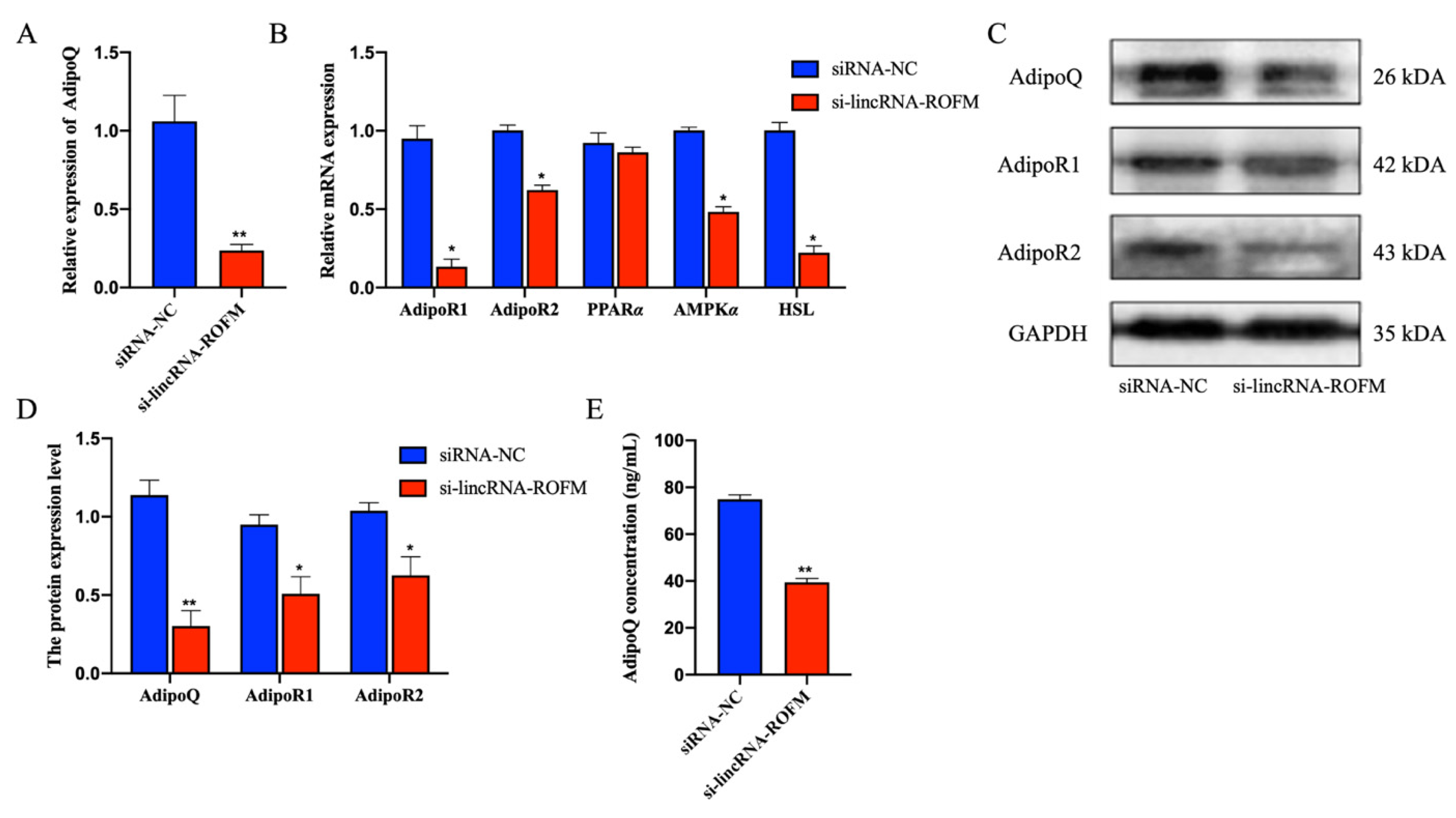 Foods 11 02690 g006 550