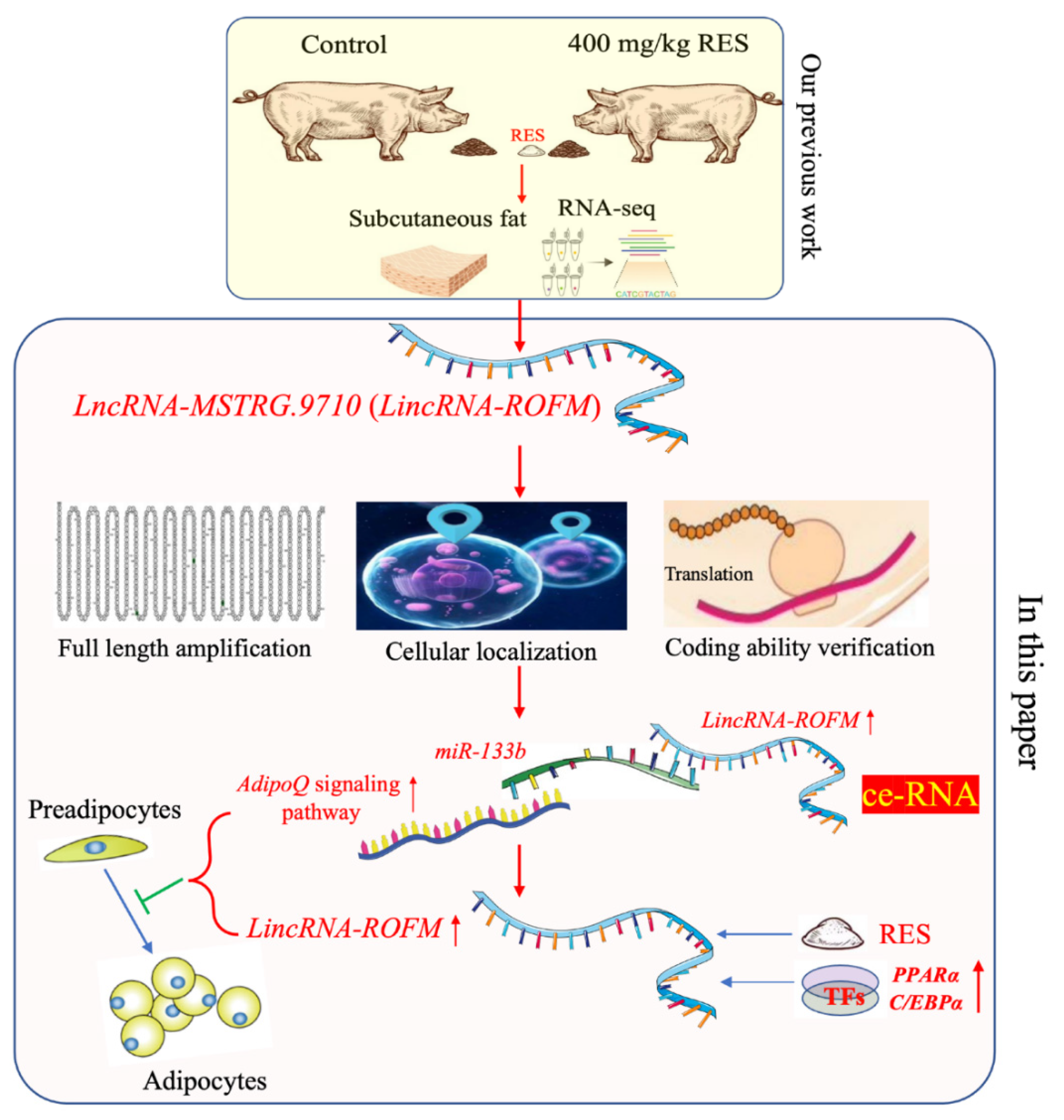 Foods 11 02690 g009 550