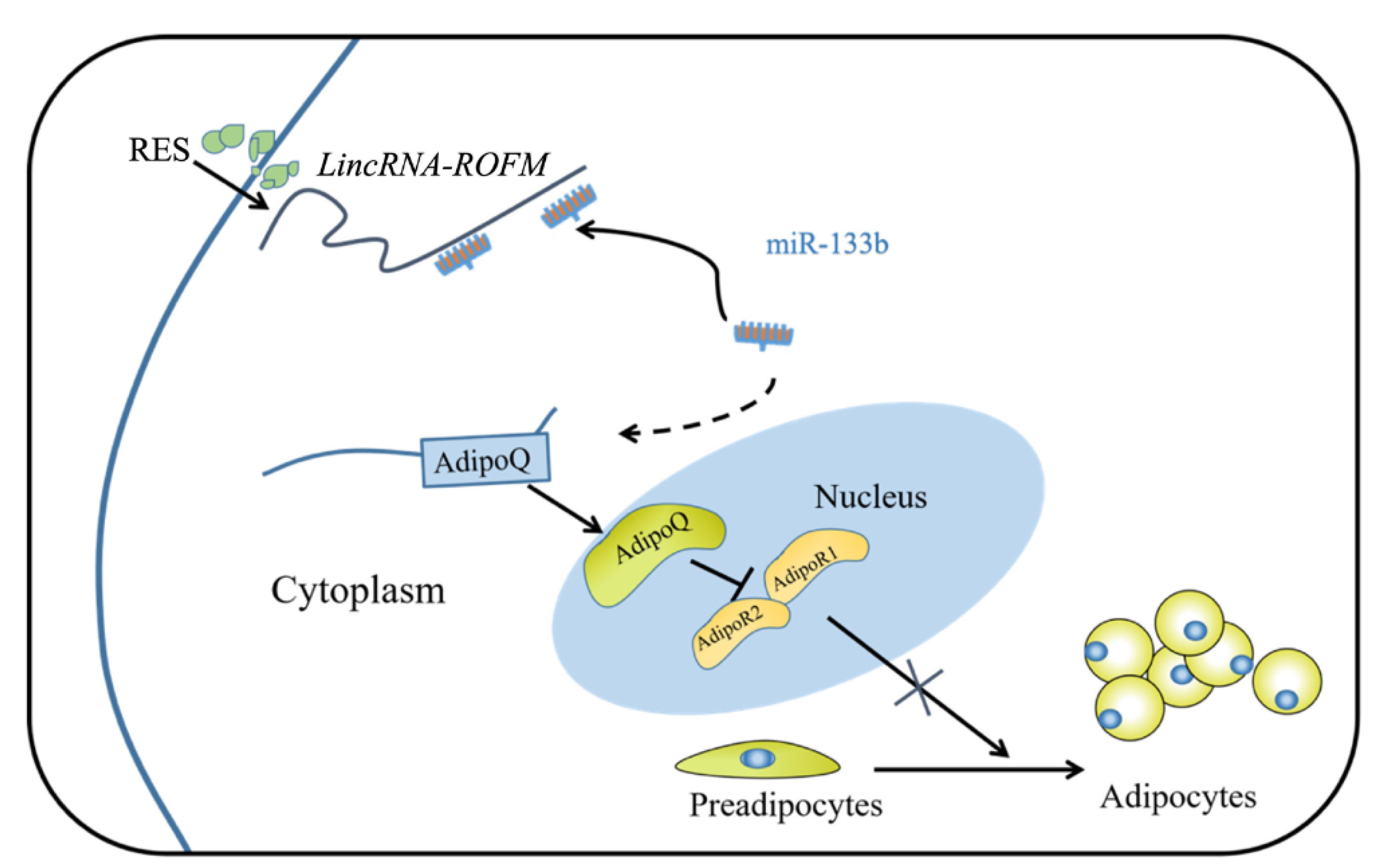 Foods 11 02690 g010 550