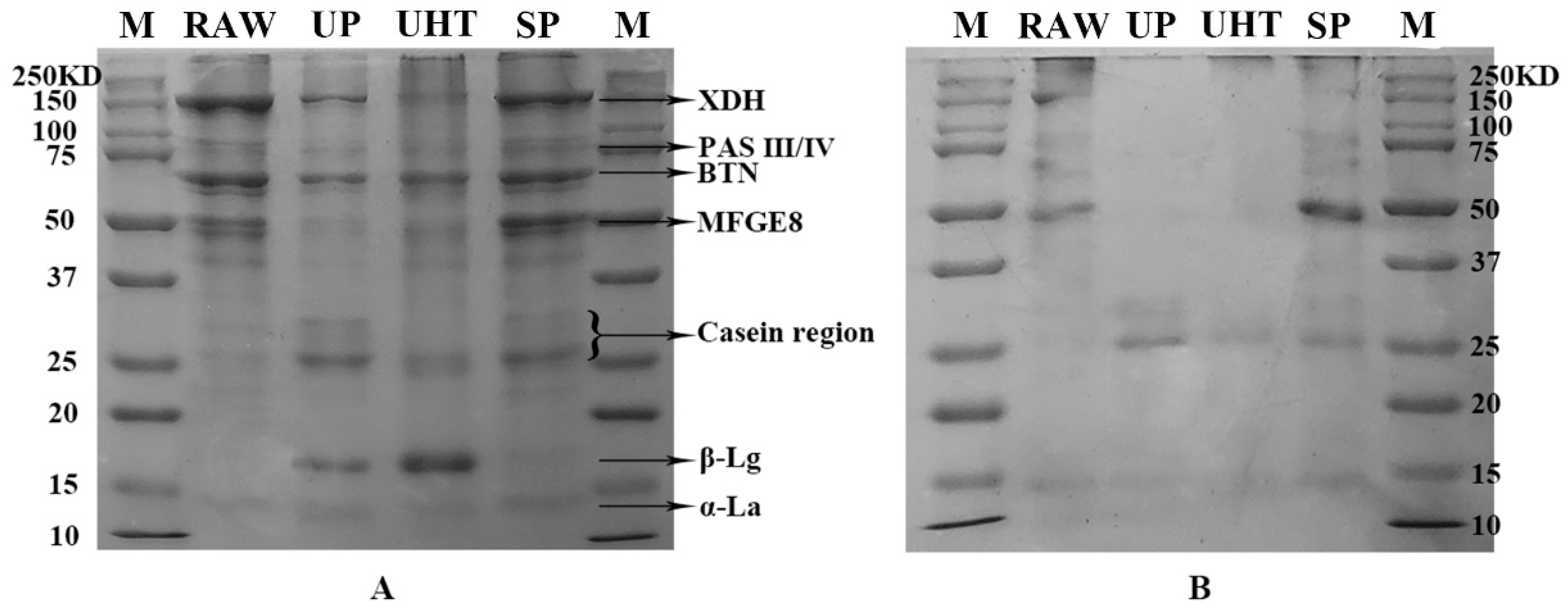 Foods 11 02705 g001 550