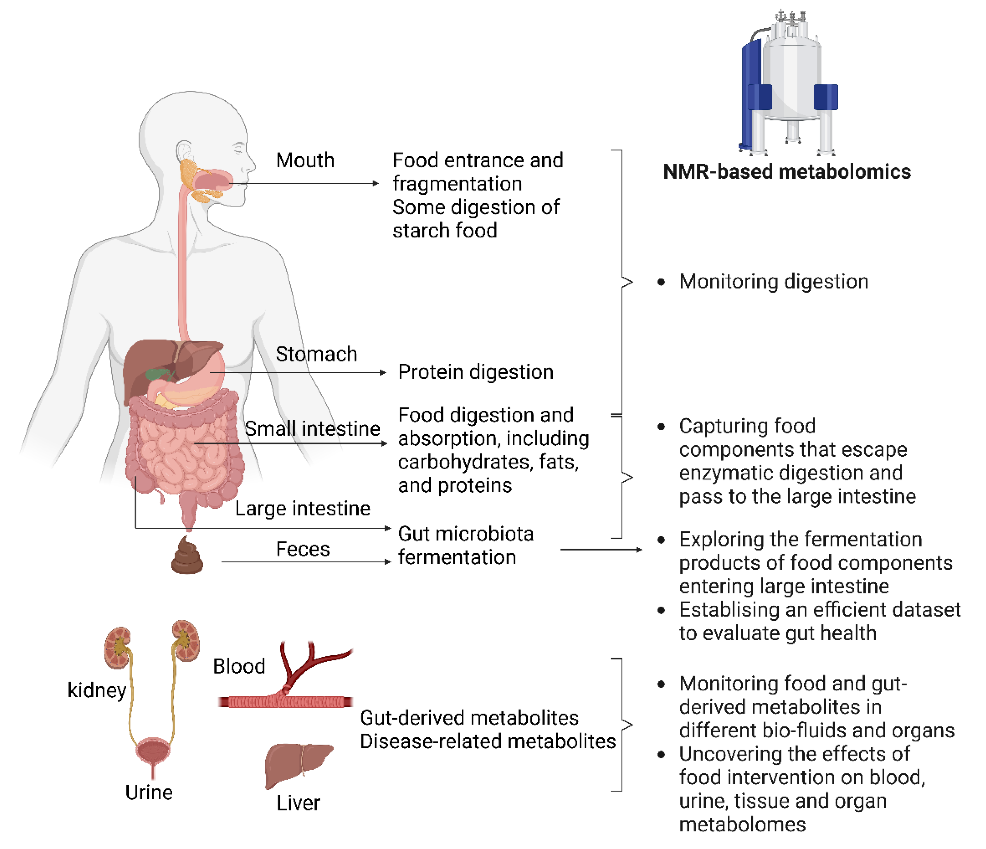Foods 11 02707 g001 550