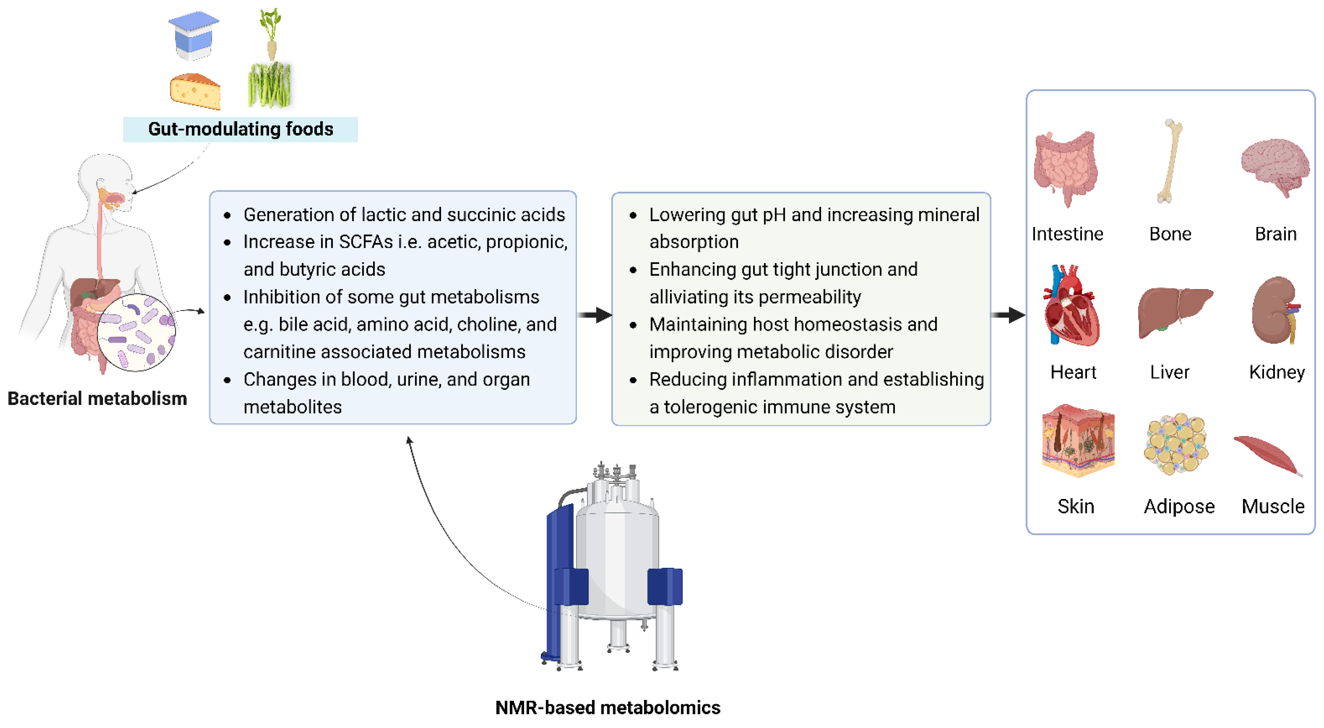 Foods 11 02707 g002 550