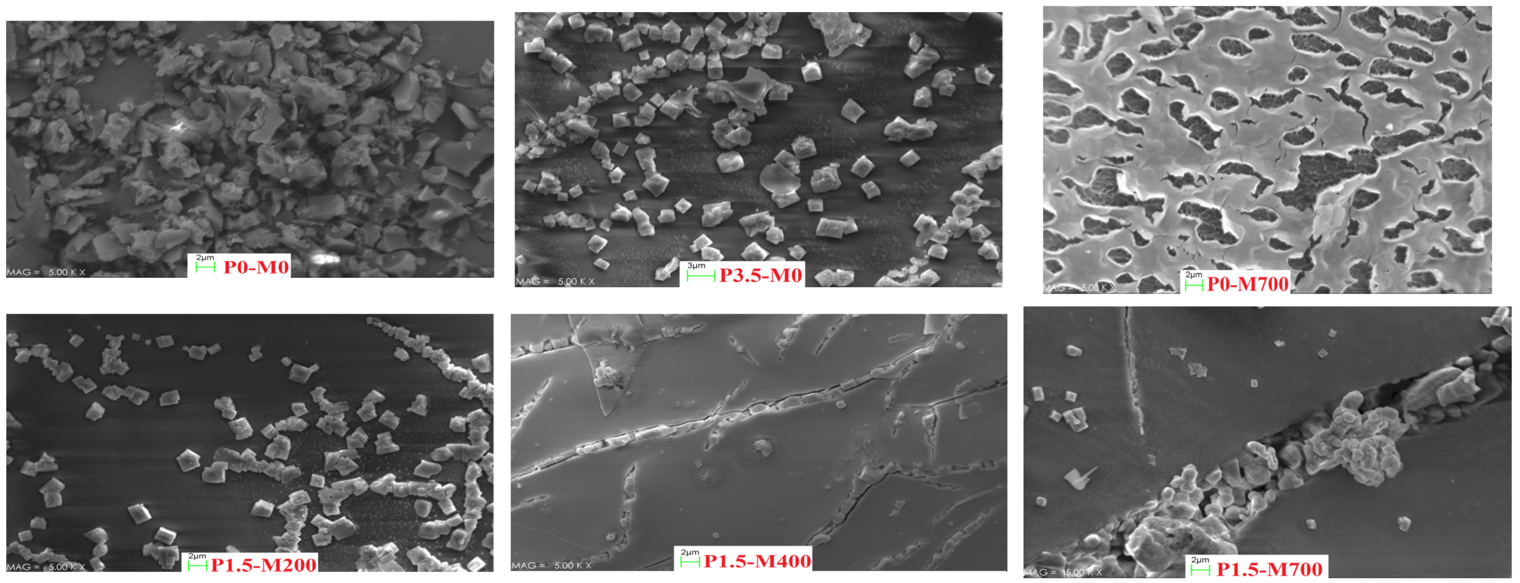 Foods 11 02711 g009a