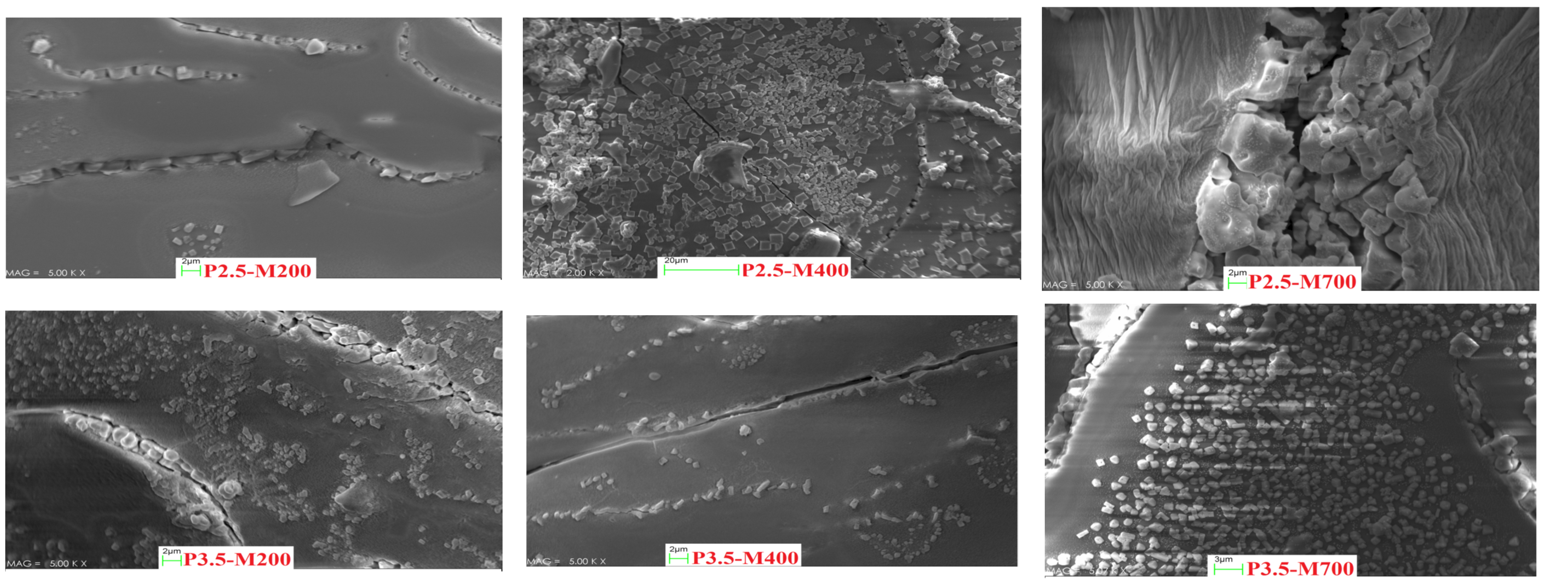 Foods 11 02711 g009b