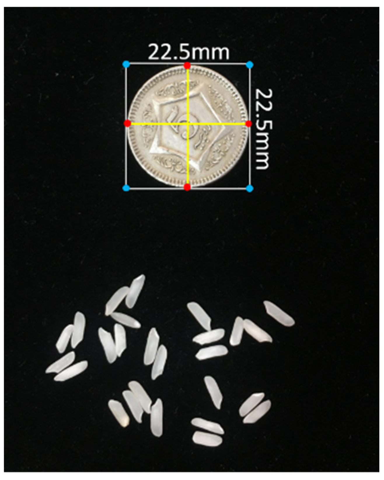 Foods 11 02723 g002 550