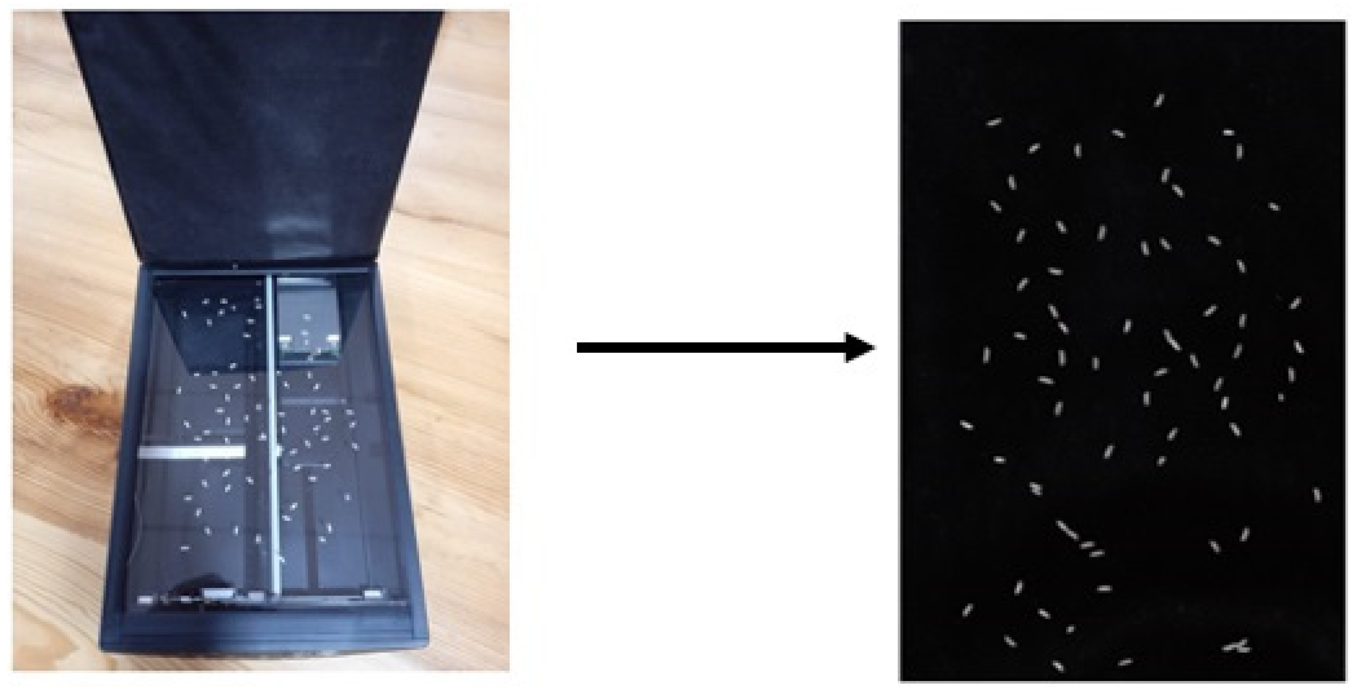 Foods 11 02723 g004 550