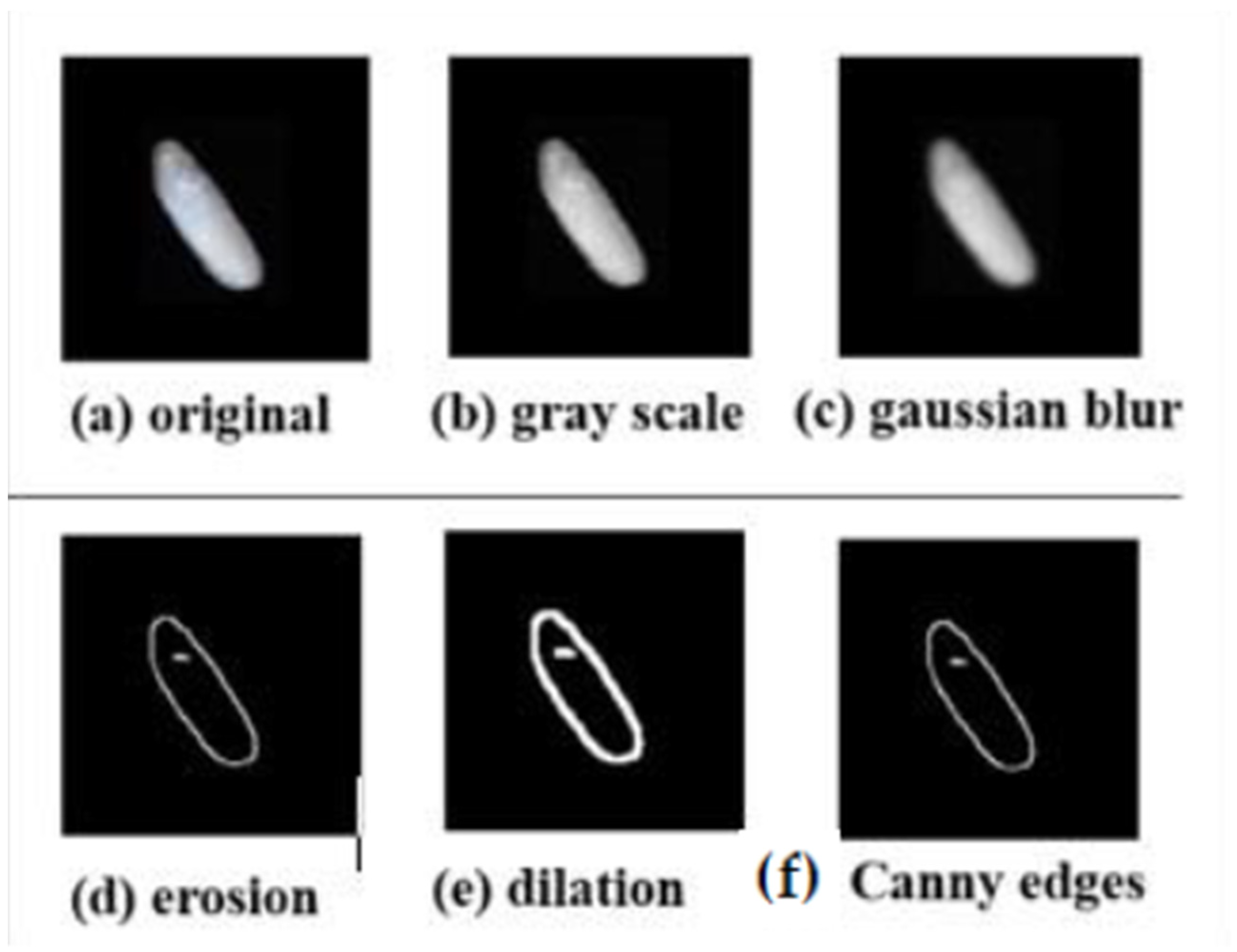 Foods 11 02723 g005 550