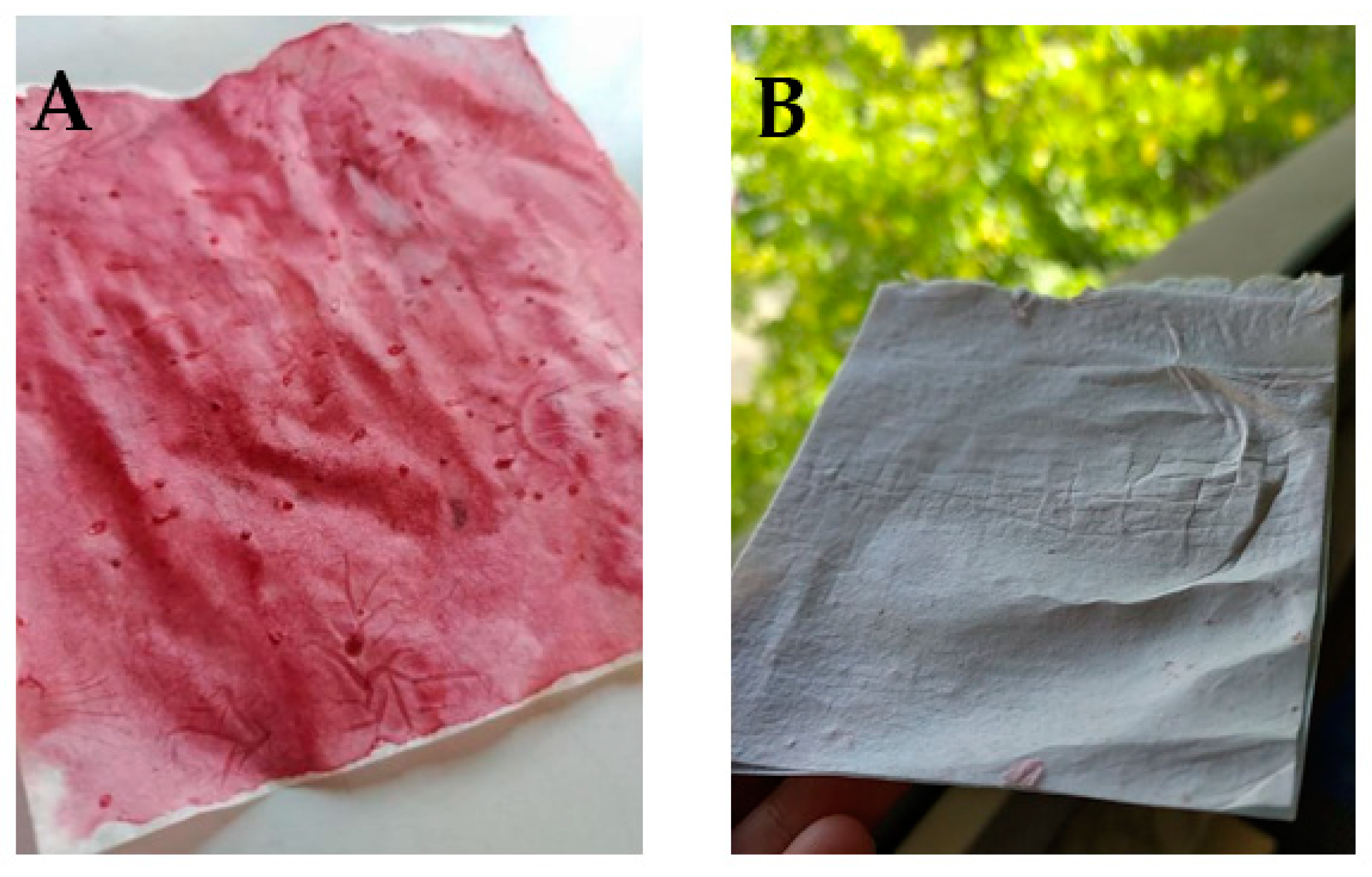 Foods 11 02727 g005 550