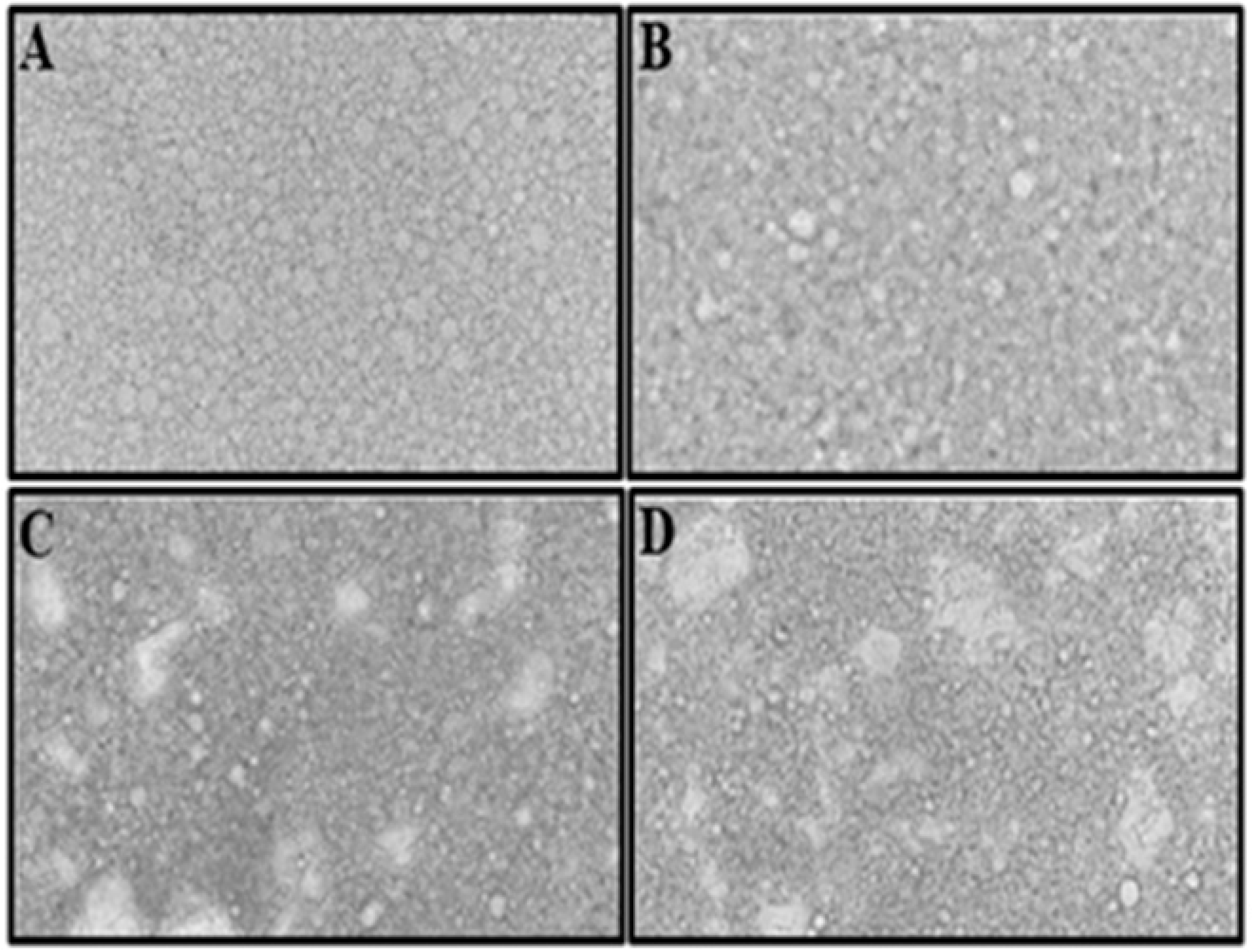 Foods 11 02731 g001 550