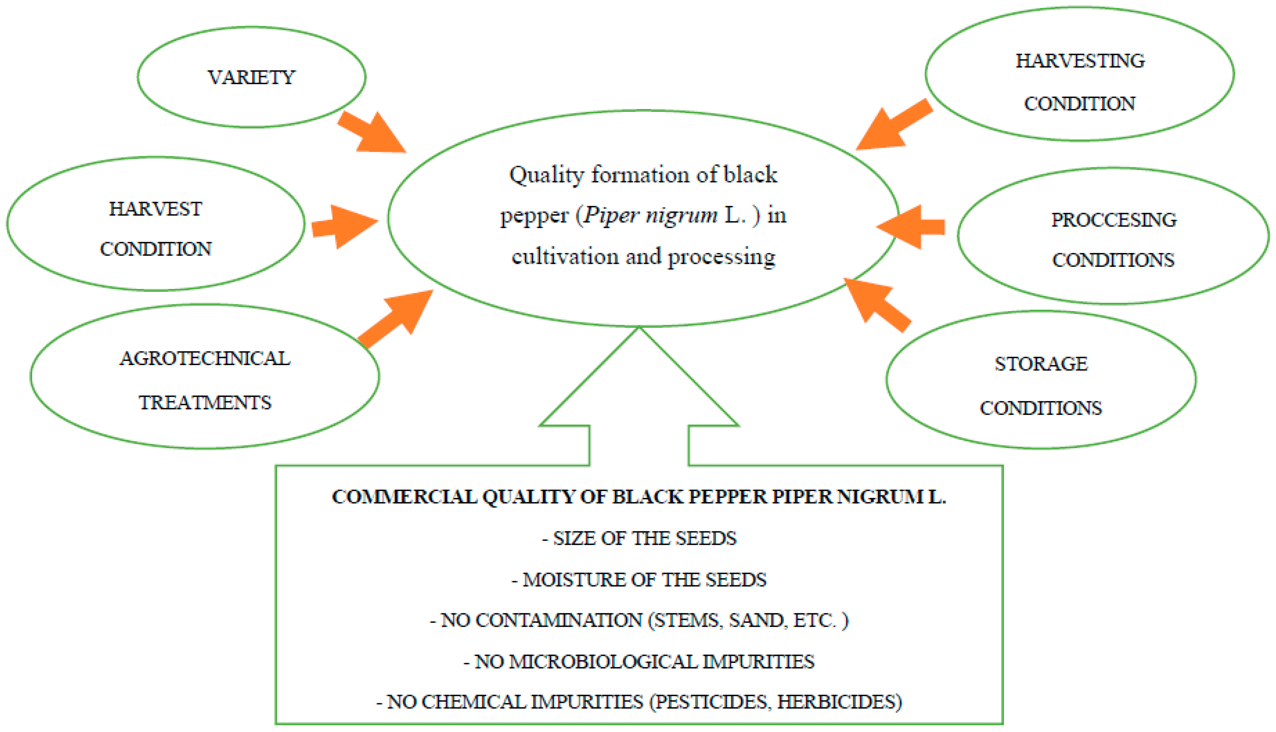 Spice Sourcing Puzzle