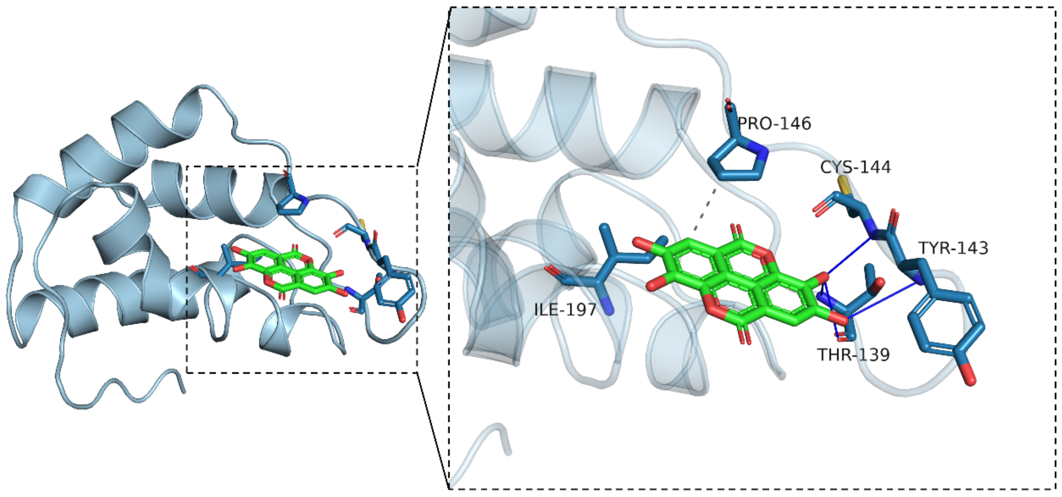 Explore the Interaction between Ellagic Acid and Zein Using