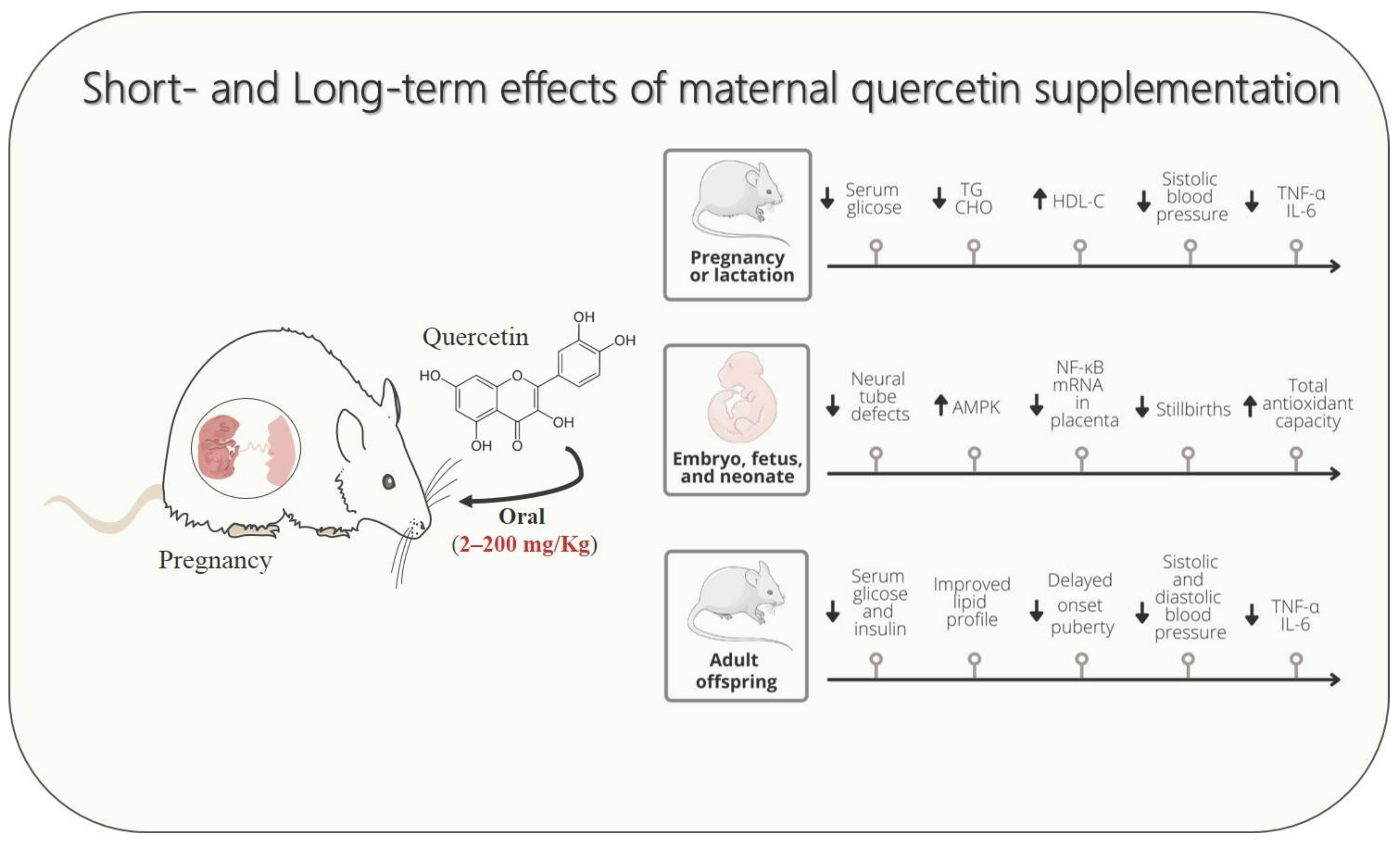 Foods 11 02772 g001 550
