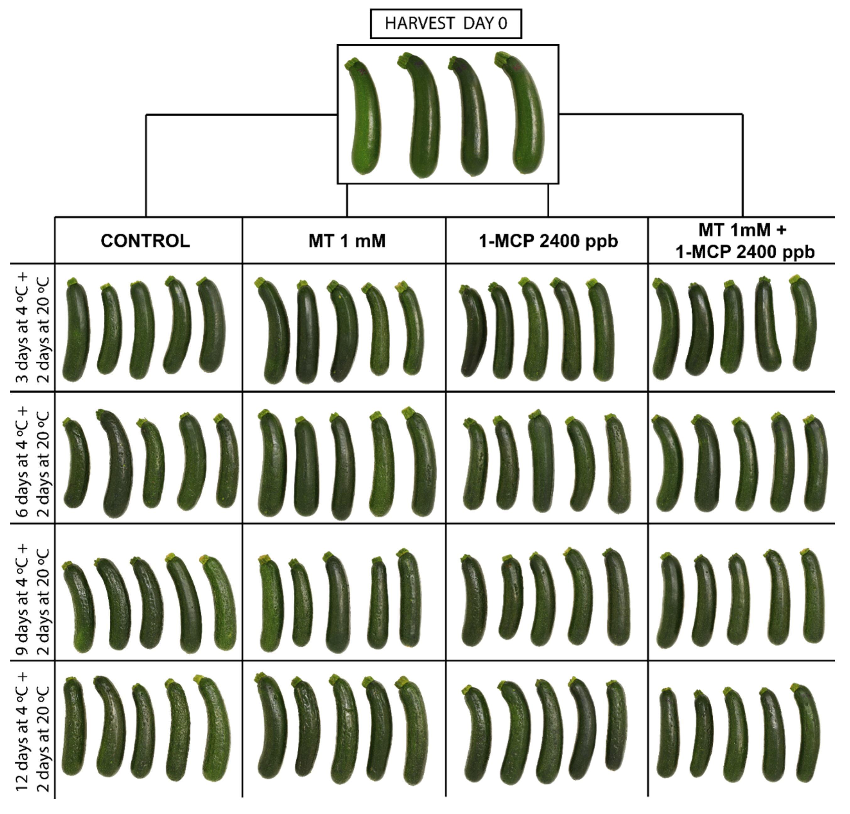 Foods 11 02784 g002 Foods 11 02784 g002